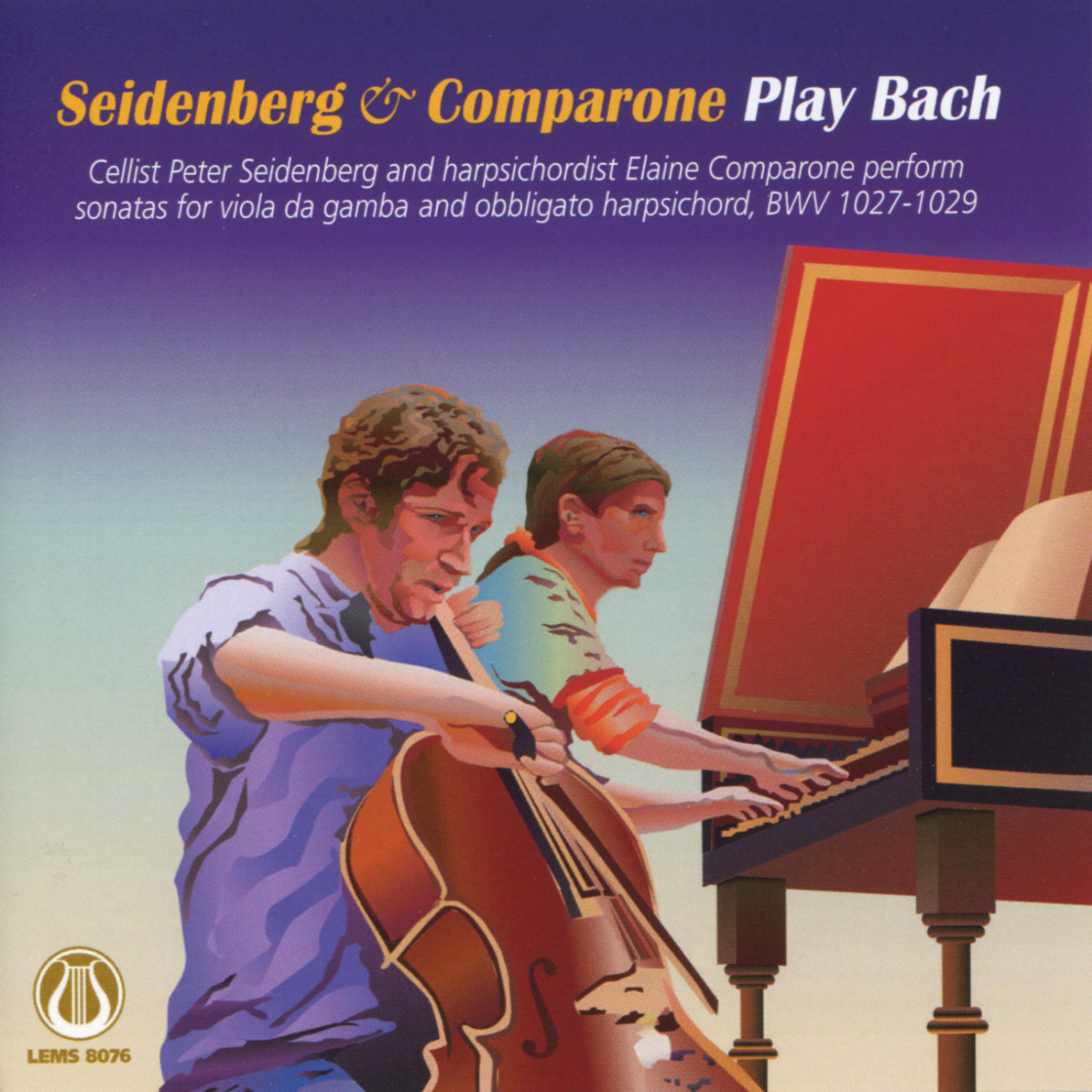 Постер альбома Seidenberg & Comparone Play Bach