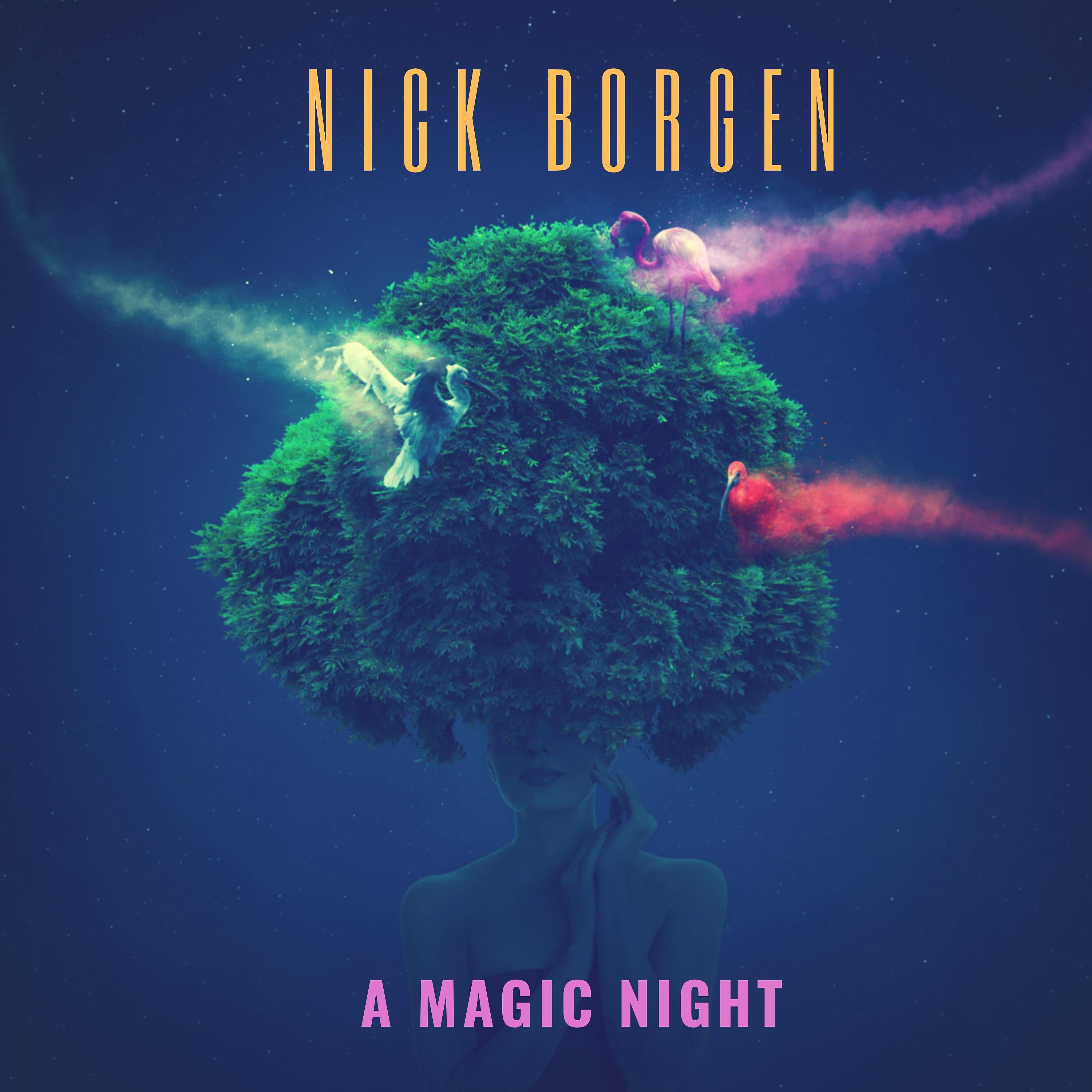 Постер альбома A Magic Night