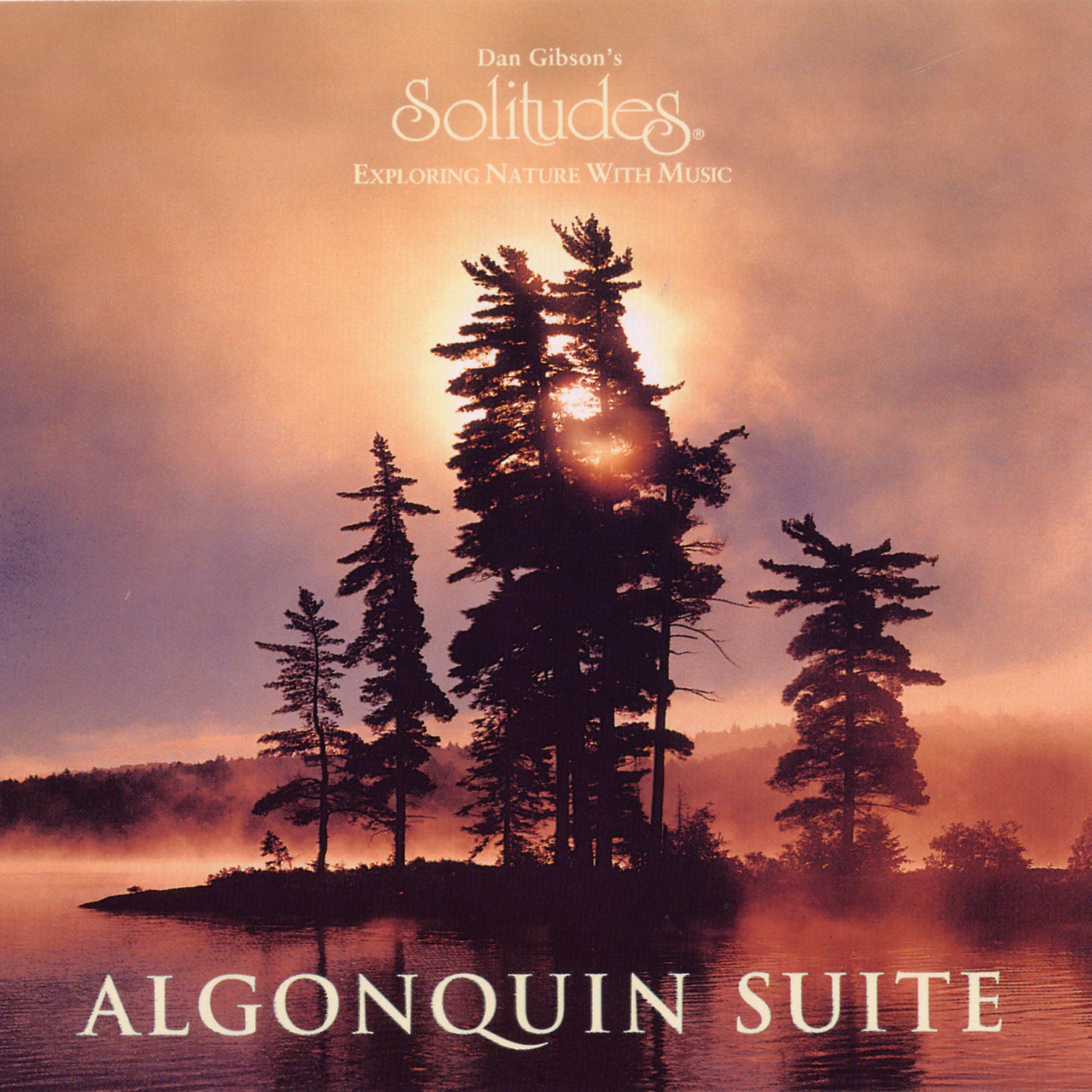 Постер альбома Algonquin Suite