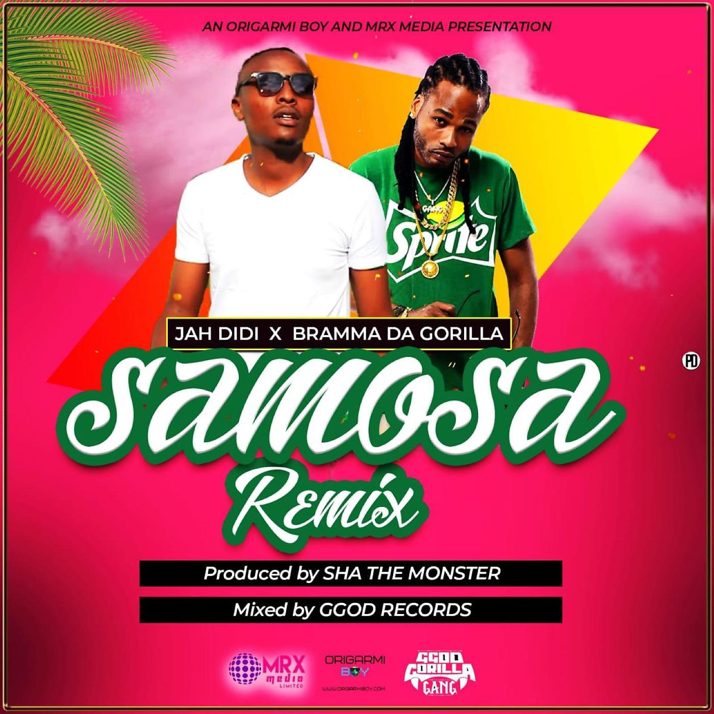 Постер альбома Samosa (Remix)