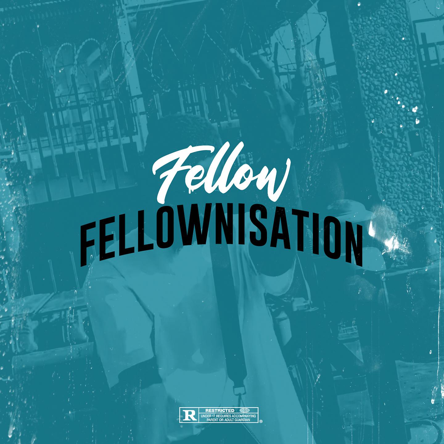 Постер альбома Fellownisation