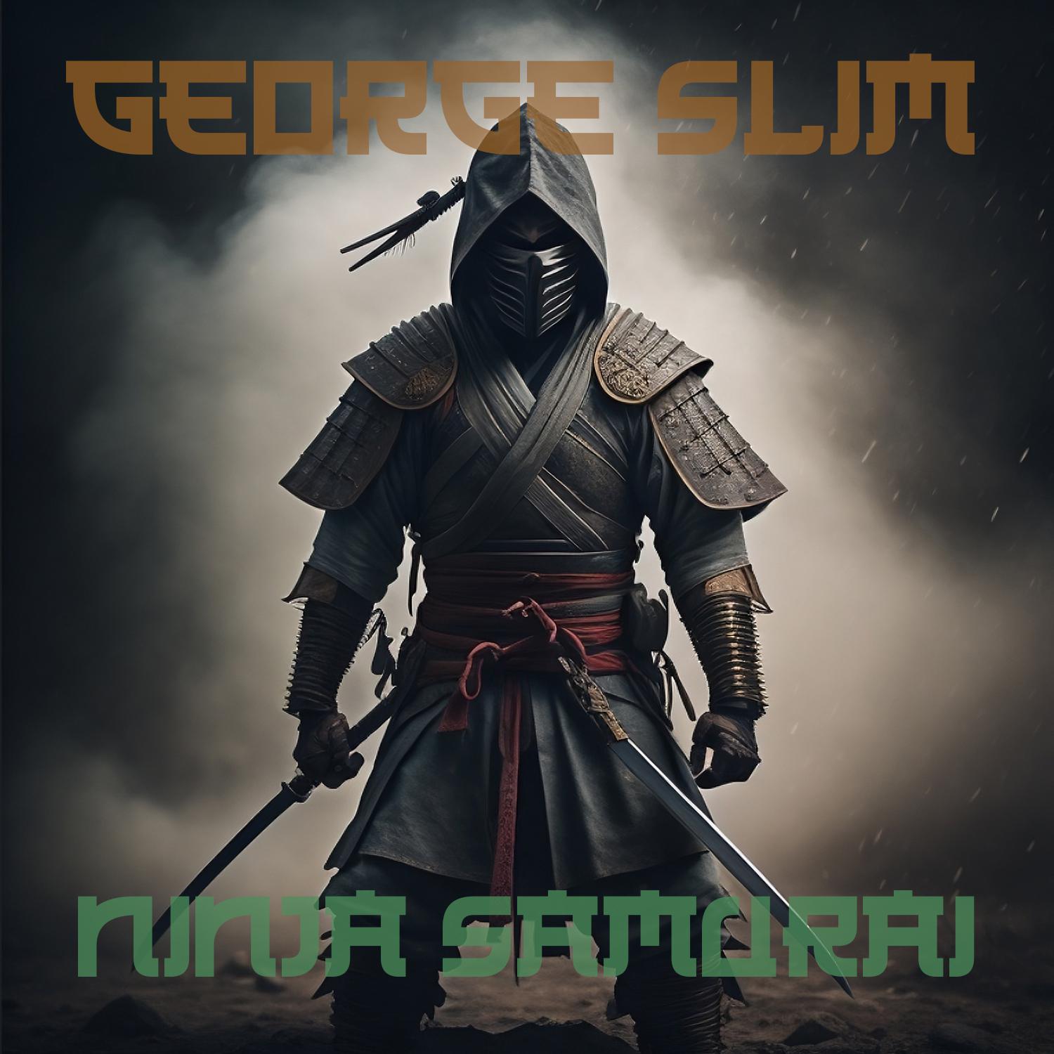 Постер альбома Ninja Samurai II