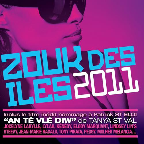 Постер альбома Zouk des iles 2011 (16 French Caribbean Hits)