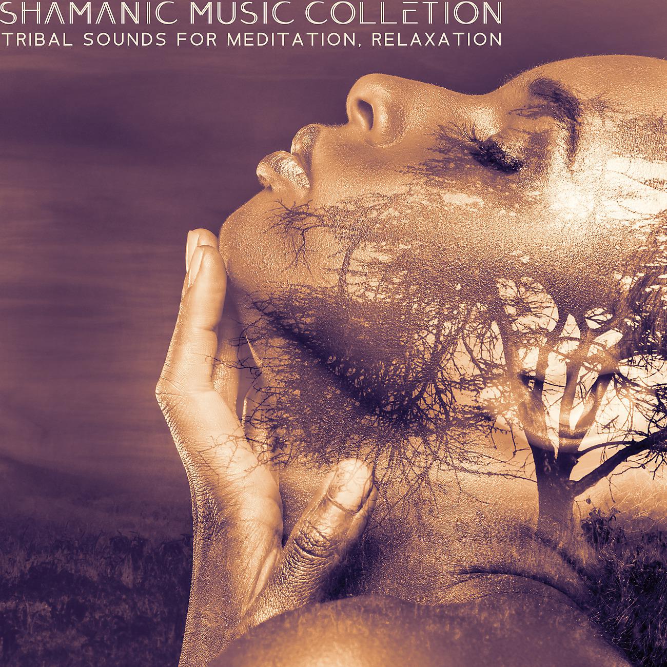 Постер альбома Shamanic Music Colletion