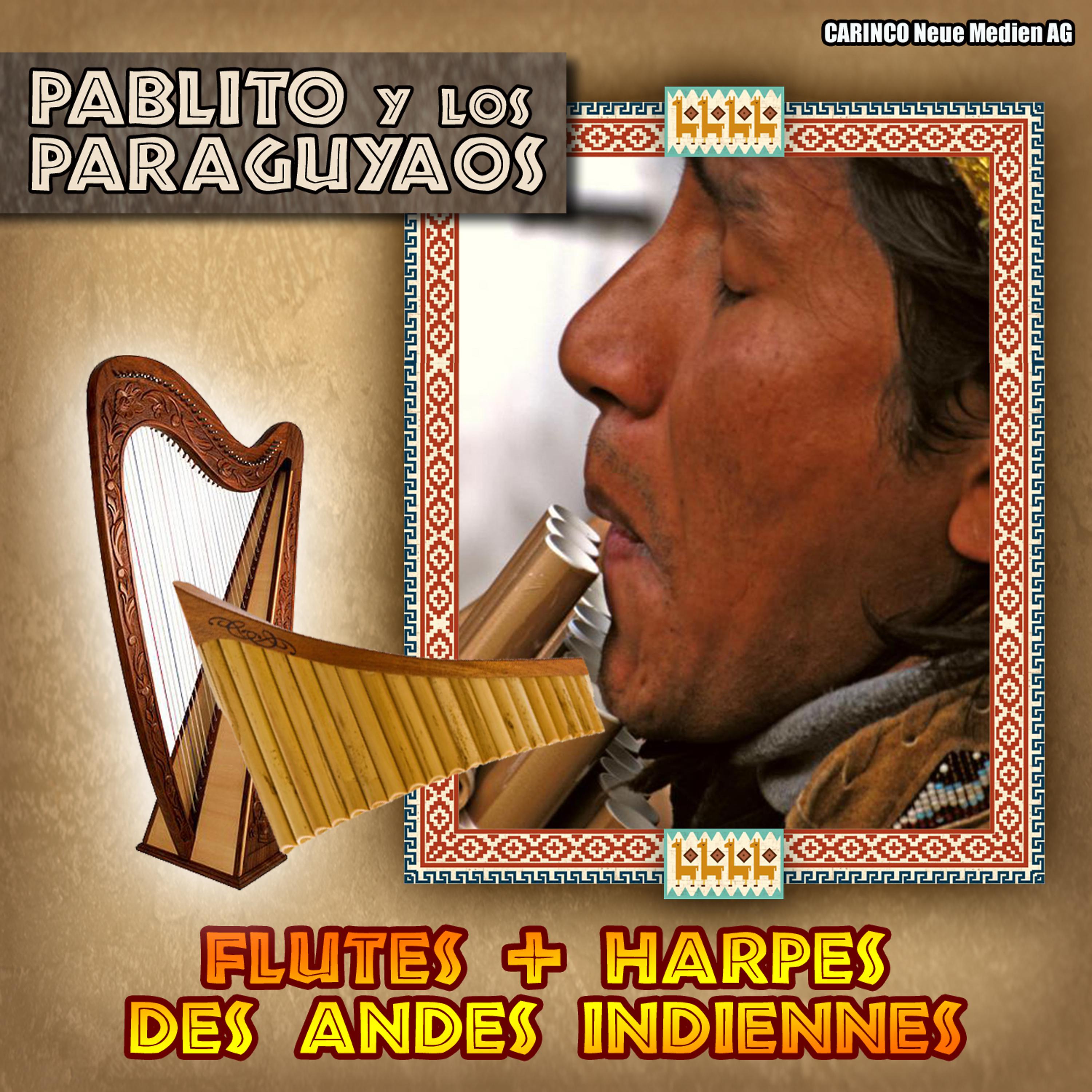 Постер альбома Pablito y los Paraguyaos - Flutes + Harpes Des Andes Indiennes