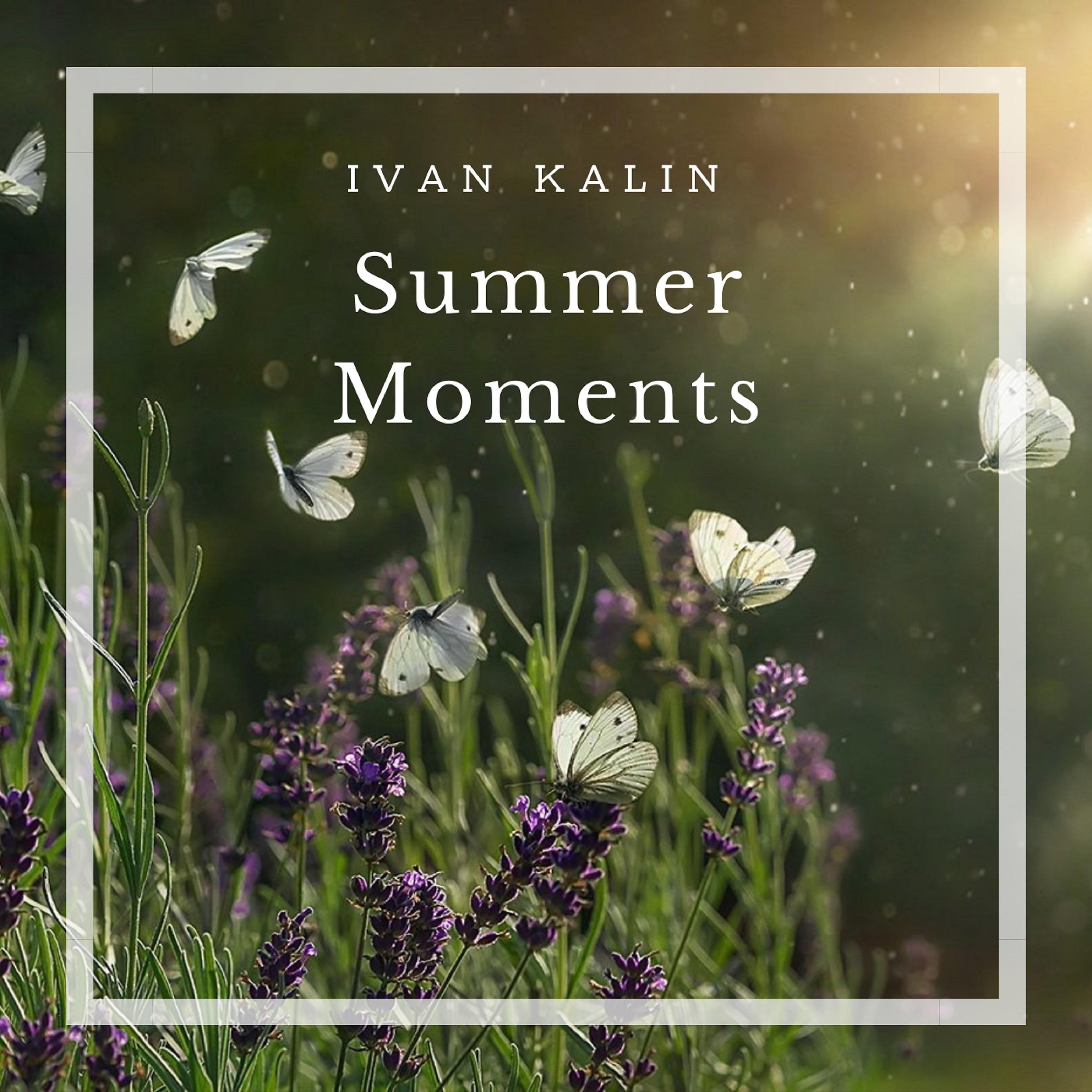 Постер альбома Summer Moments