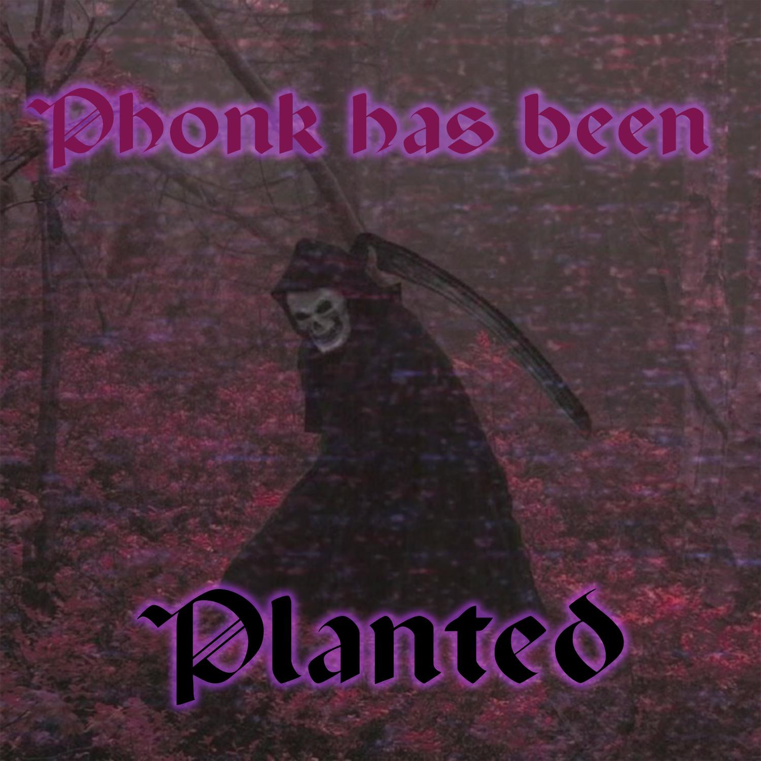 Постер альбома Phonk Has Been Planted