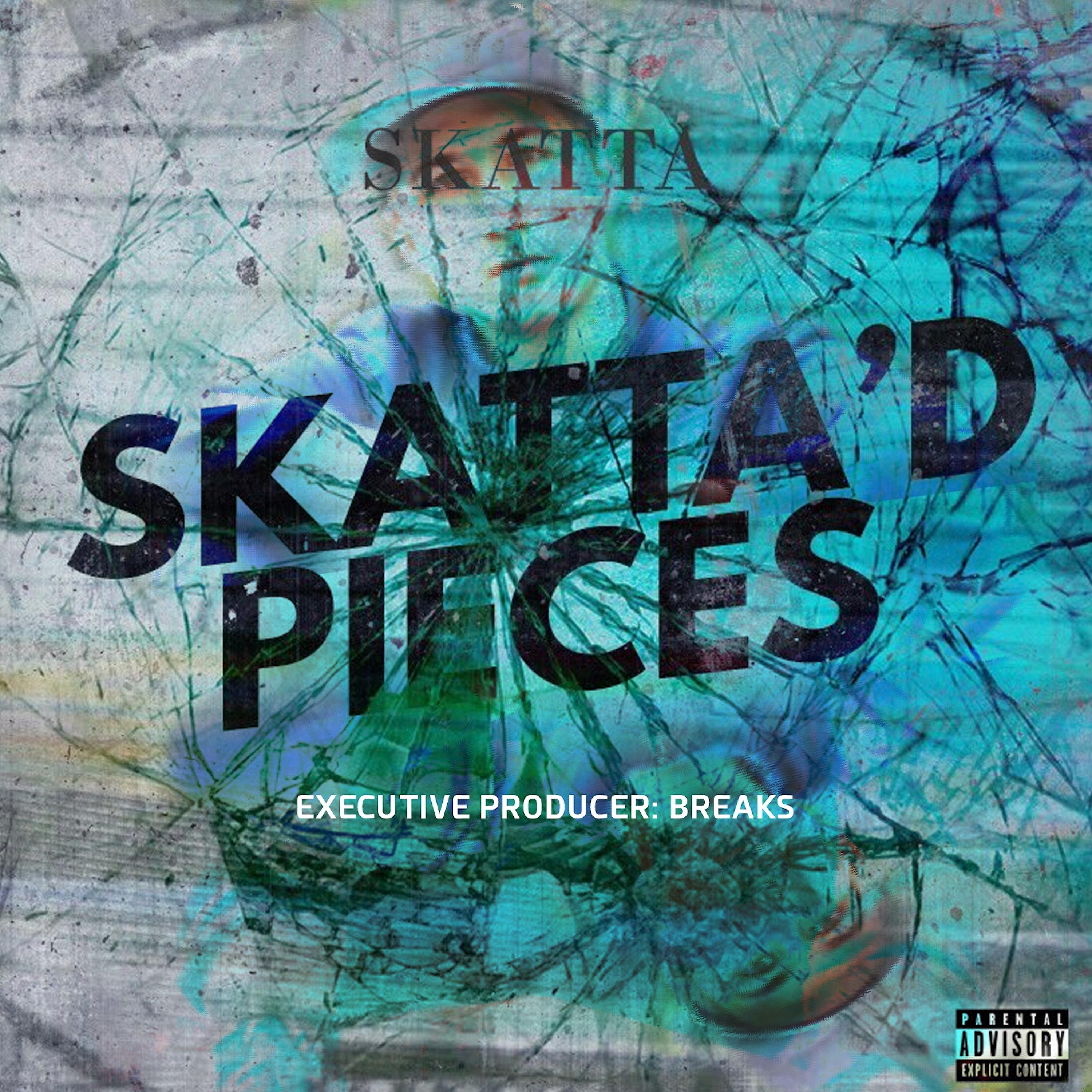 Постер альбома Skatta'D Pieces