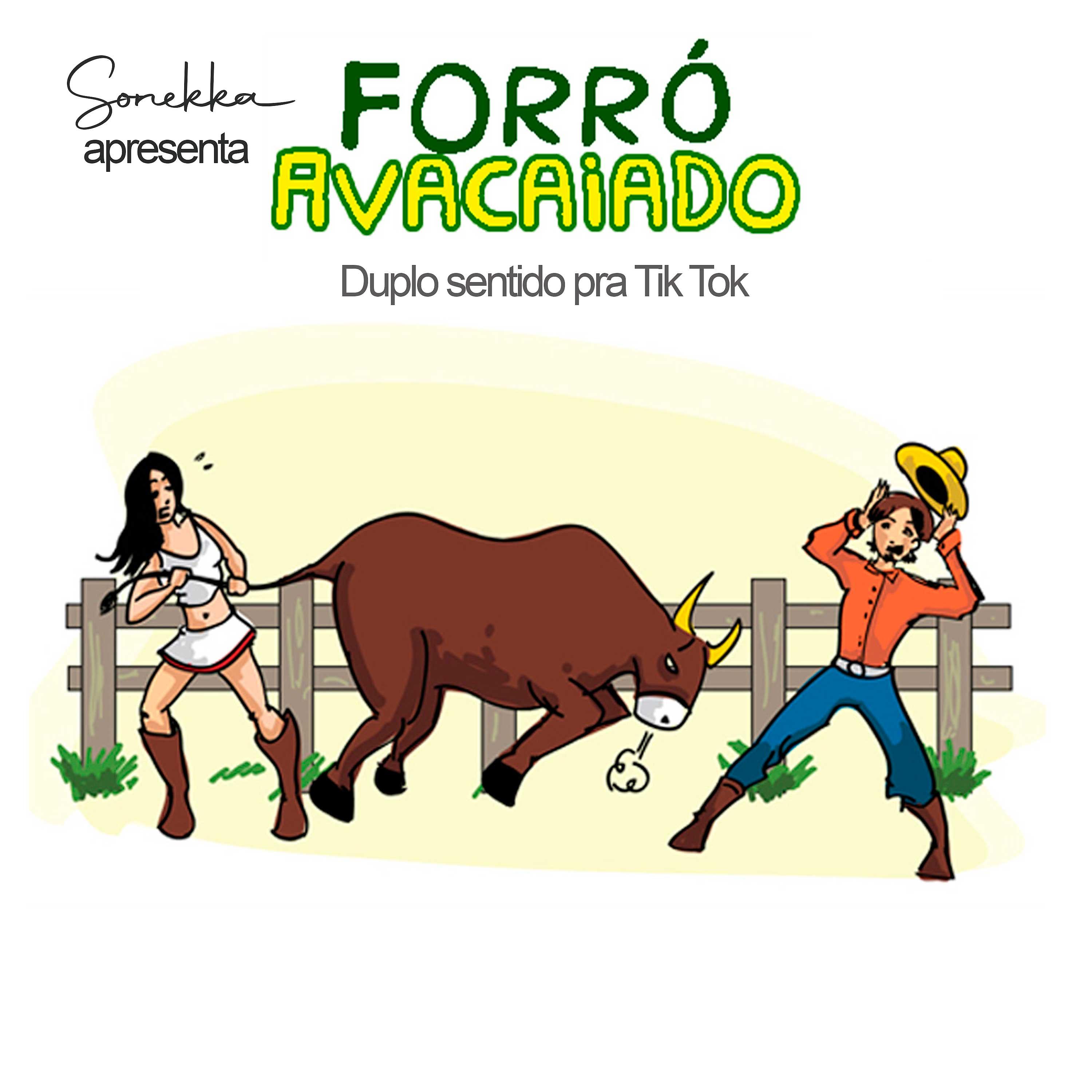 Постер альбома Forró Avacaiado de Duplo Sentido Pra Vídeos do Tiktok