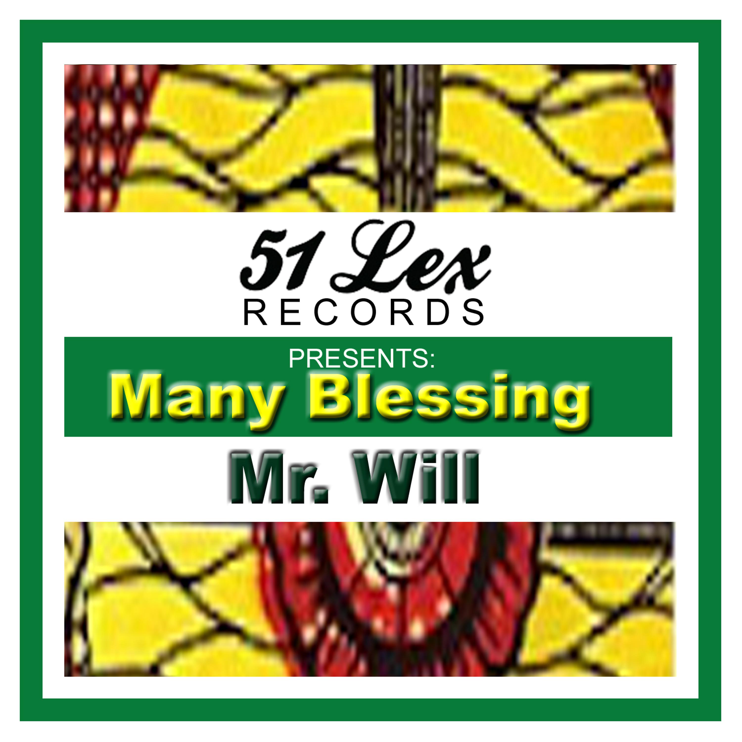 Постер альбома 51 Lex Presents Many Blessing