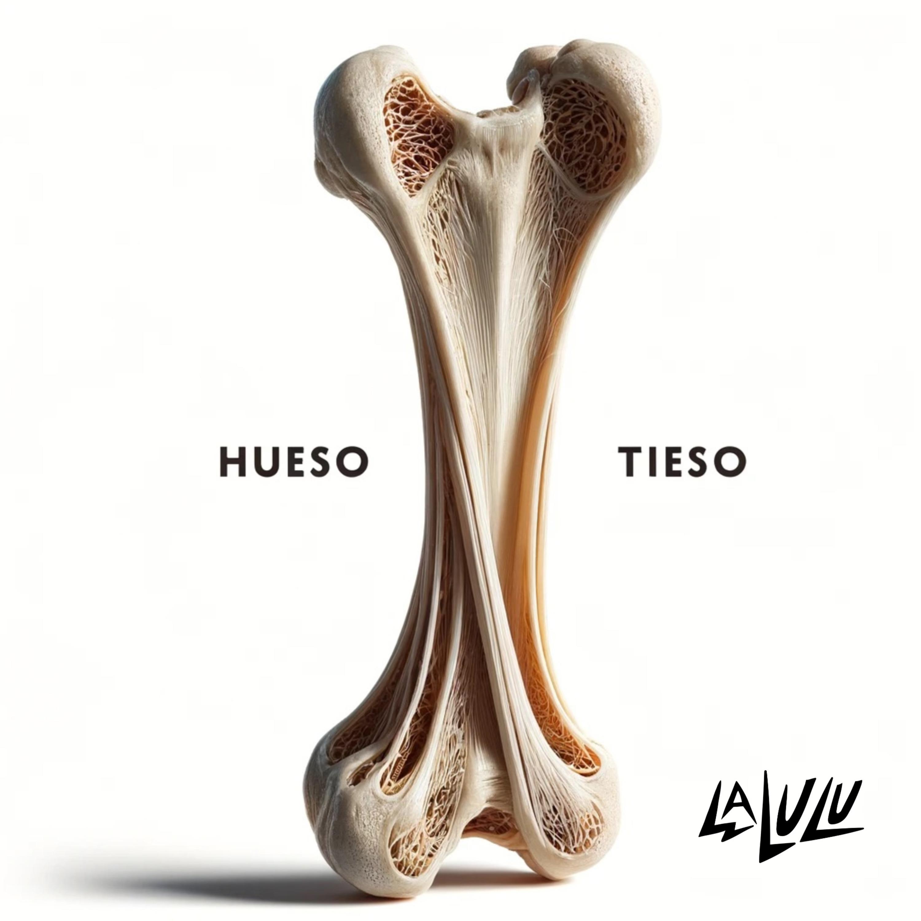 Постер альбома Hueso Tieso