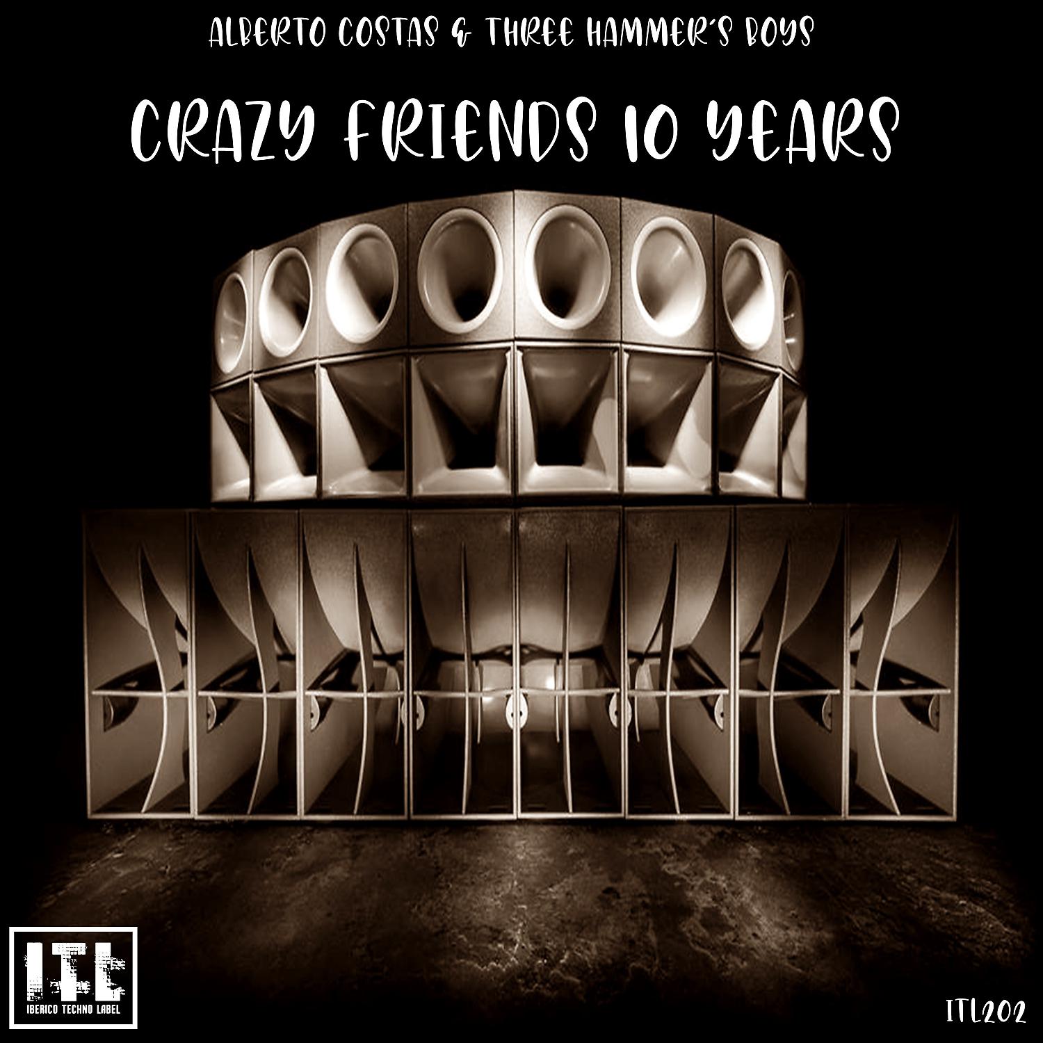 Постер альбома Crazy Friends 10 Years