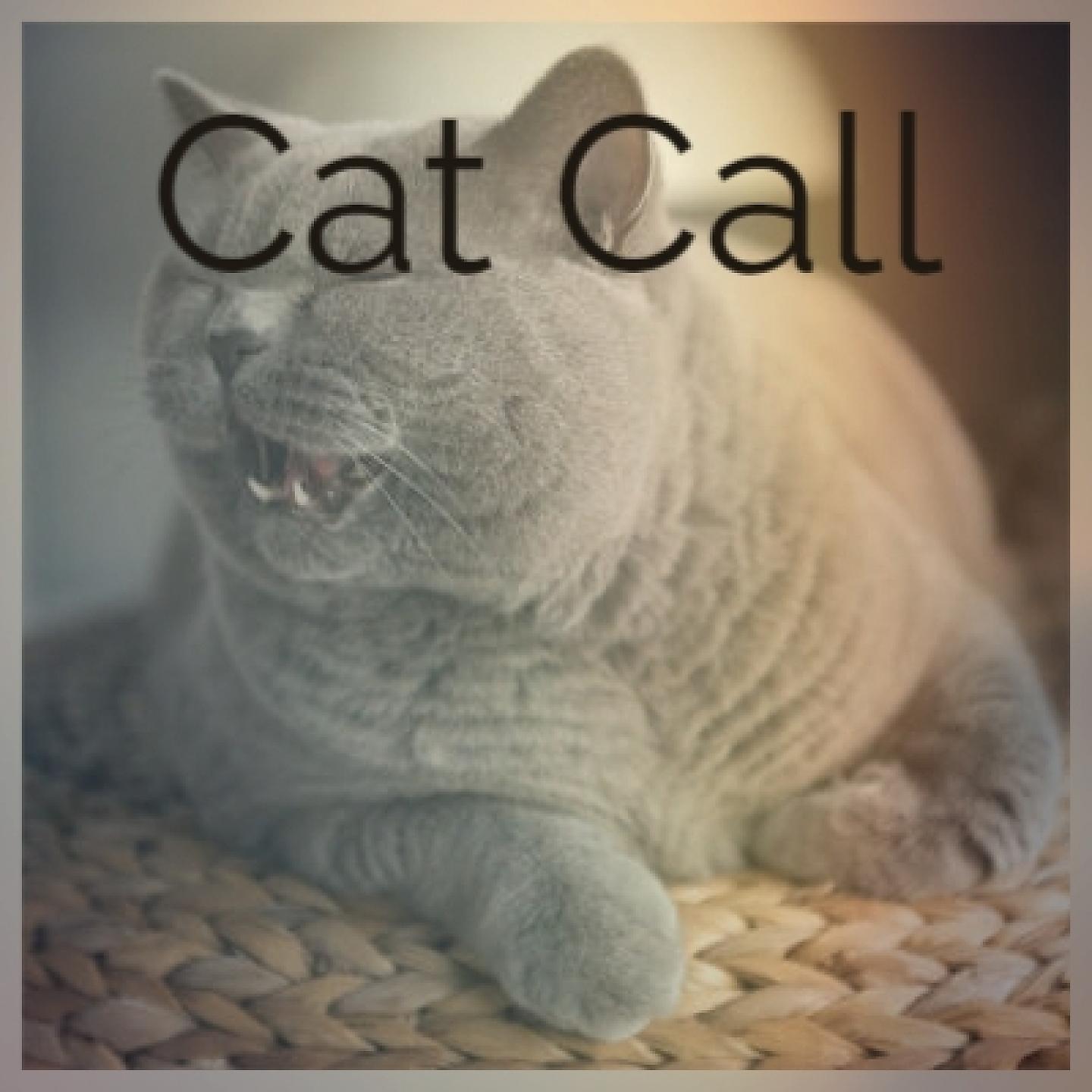 Постер альбома Cat Call