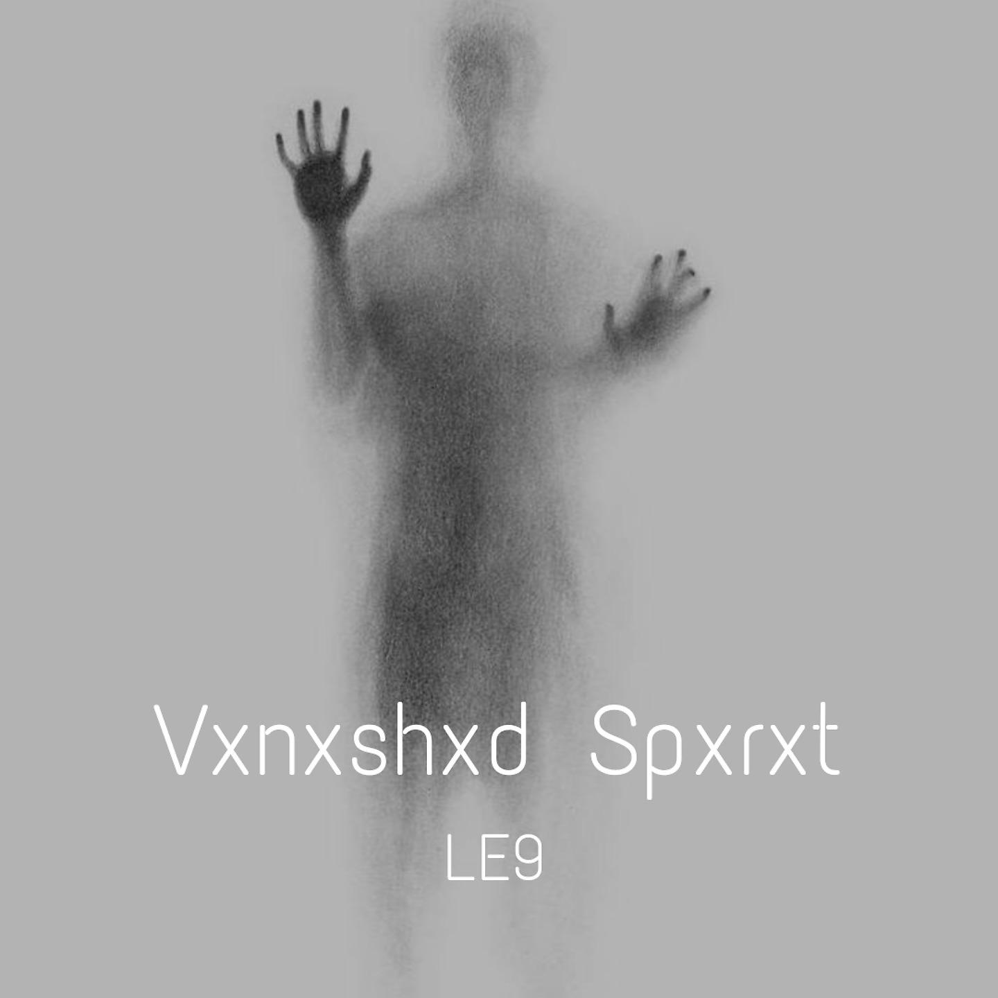Постер альбома Vxnxshxd Spxrxt