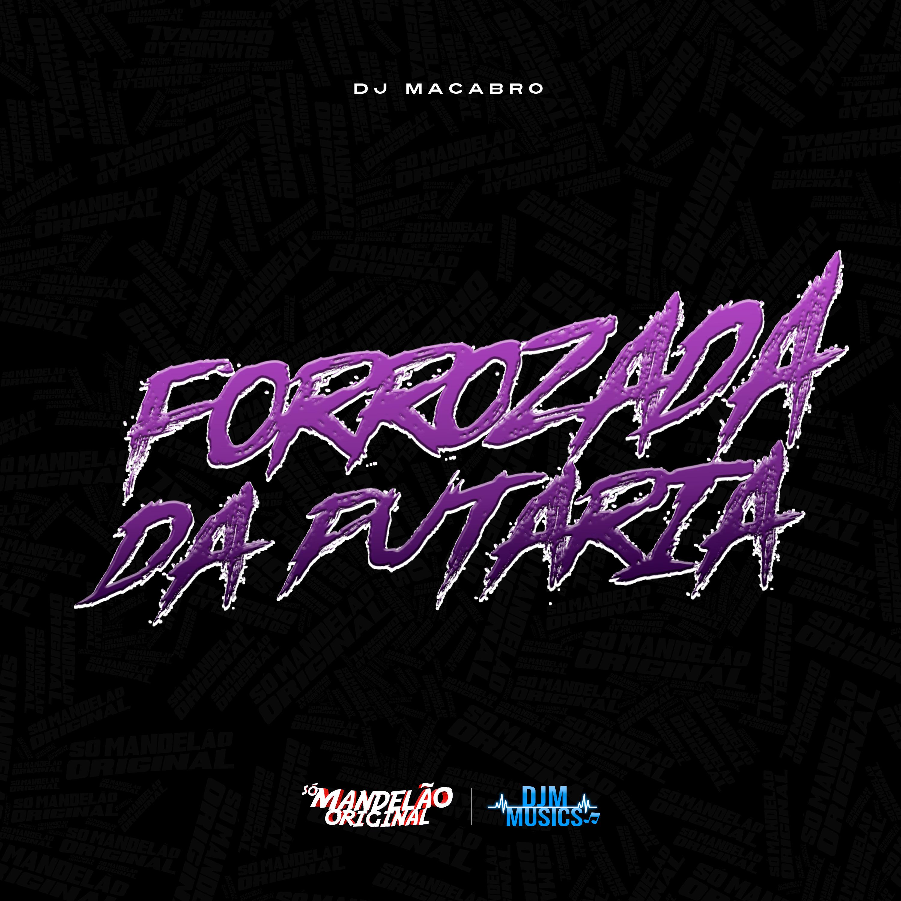 Постер альбома Forrozada da Putaria