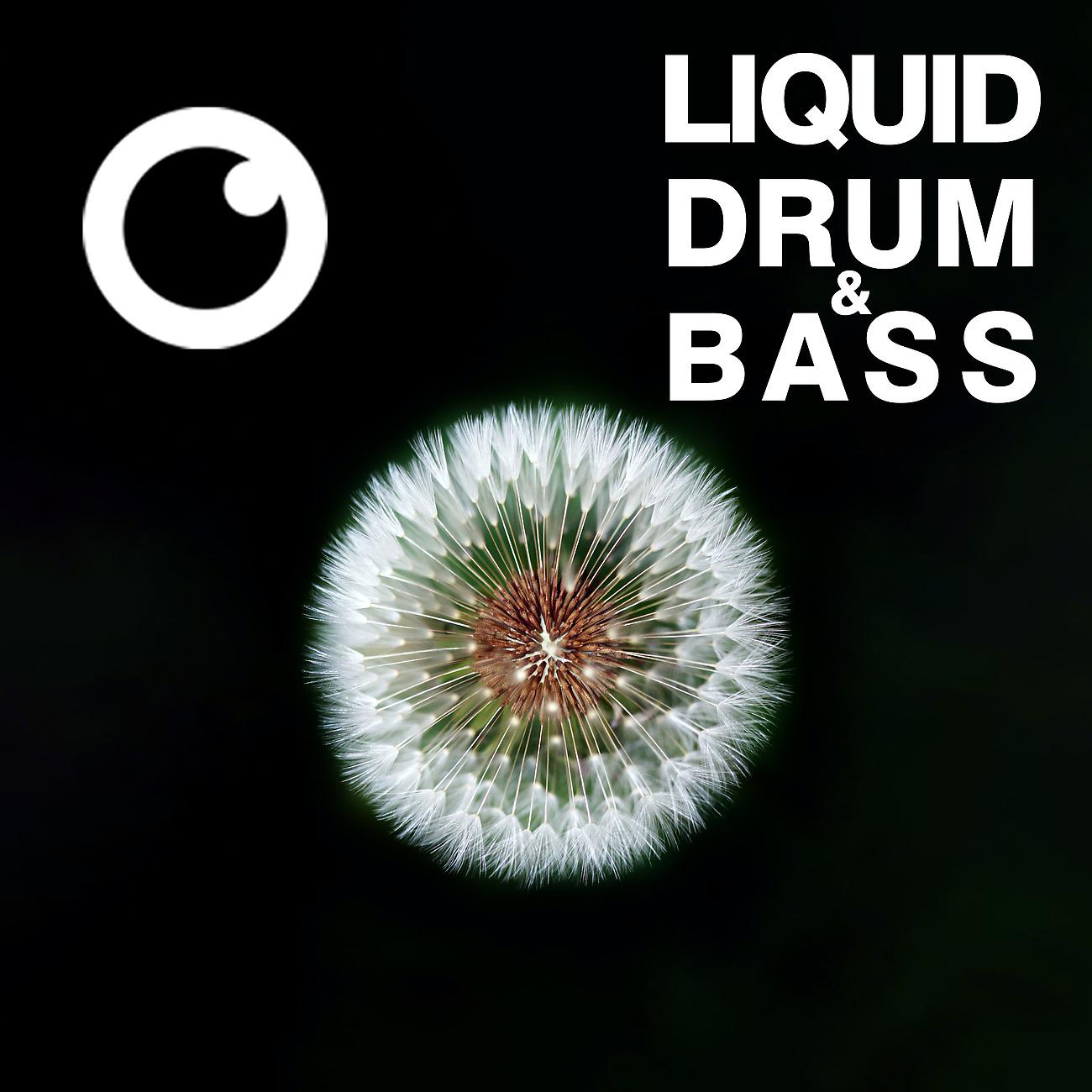 Постер альбома Liquid Drum & Bass Sessions #51
