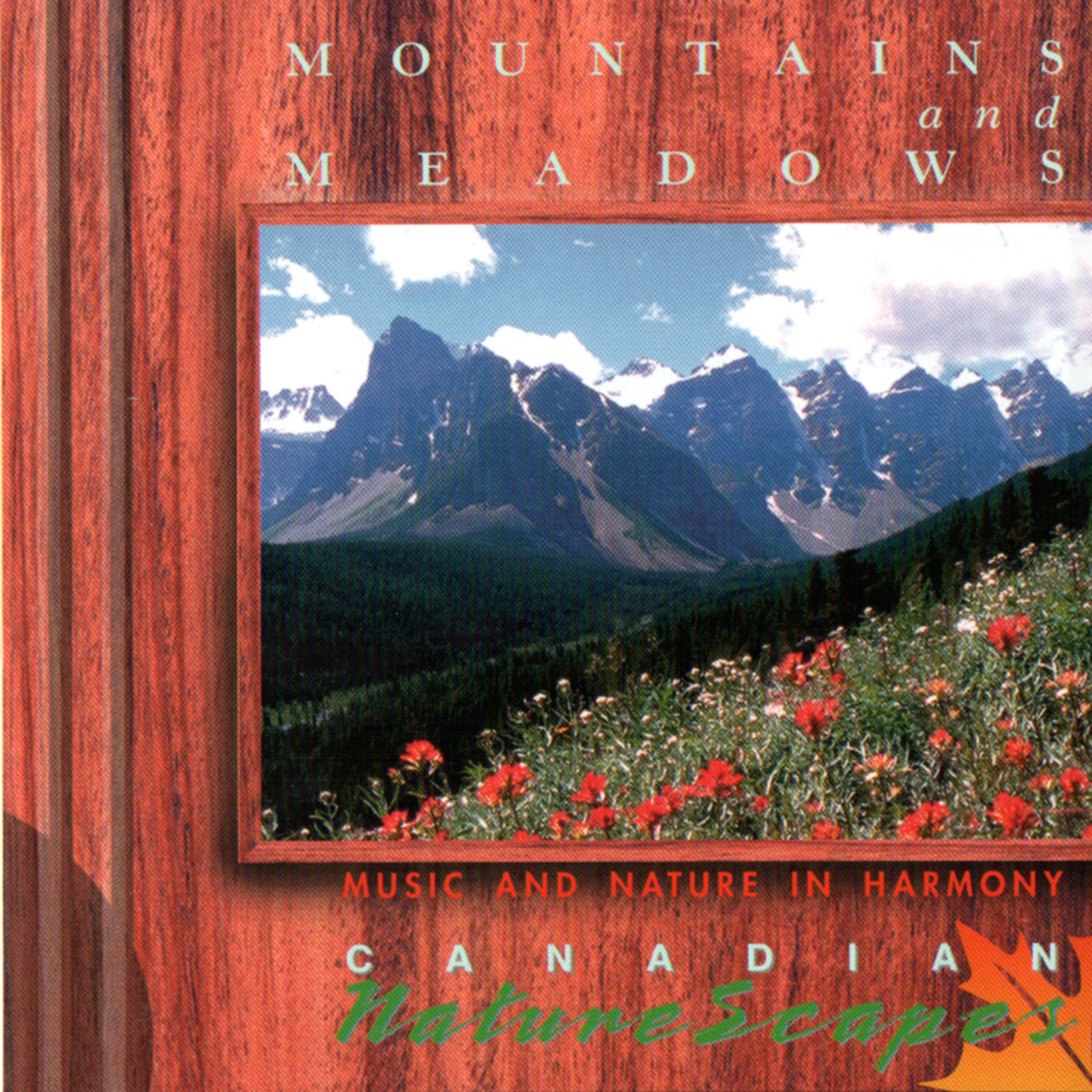 Постер альбома Mountains And Meadows