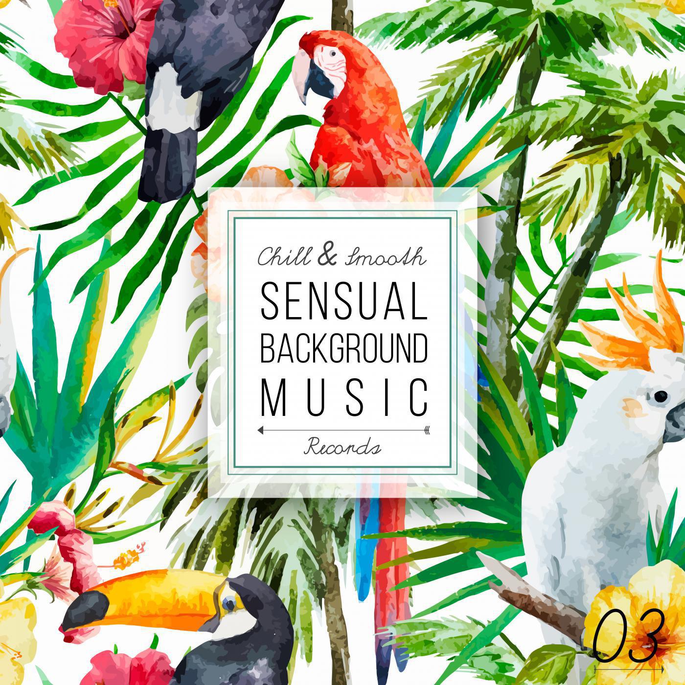 Постер альбома Sensual Background Music, Vol. 3
