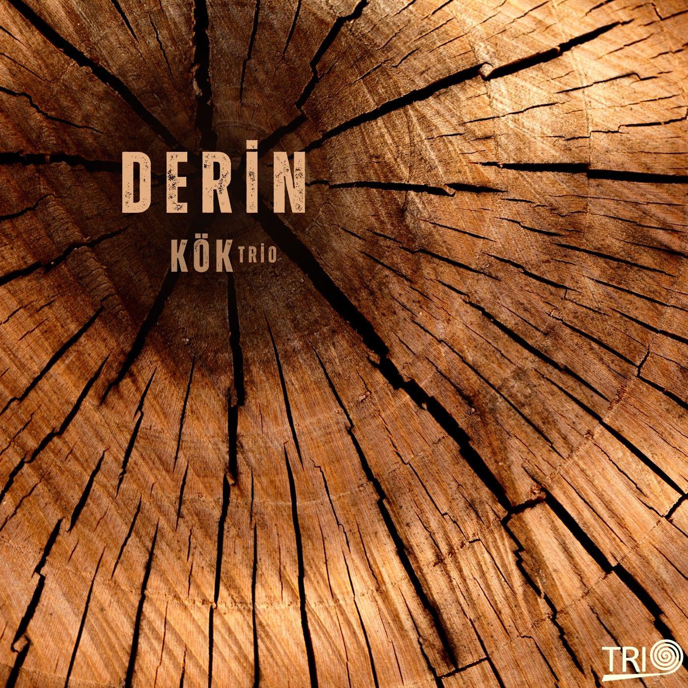 Постер альбома Derin