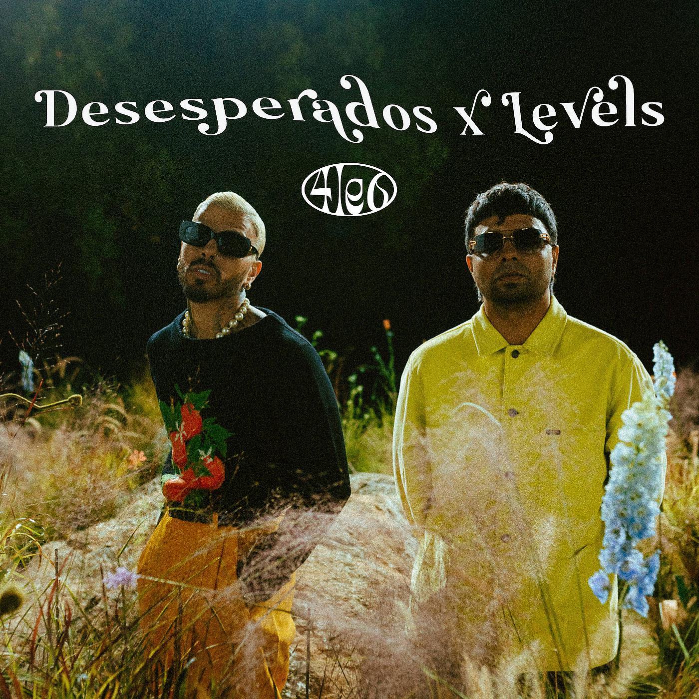 Постер альбома Desesperados X Levels