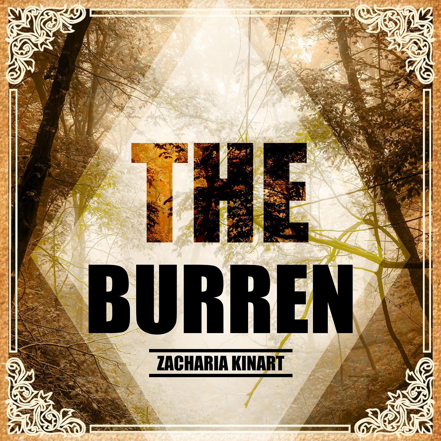 Постер альбома The Burren
