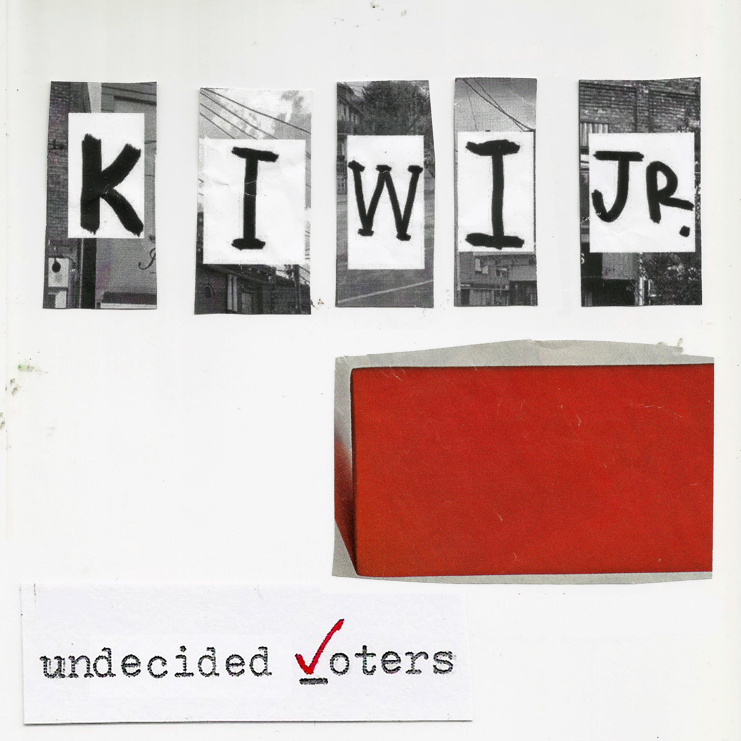 Постер альбома Undecided Voters