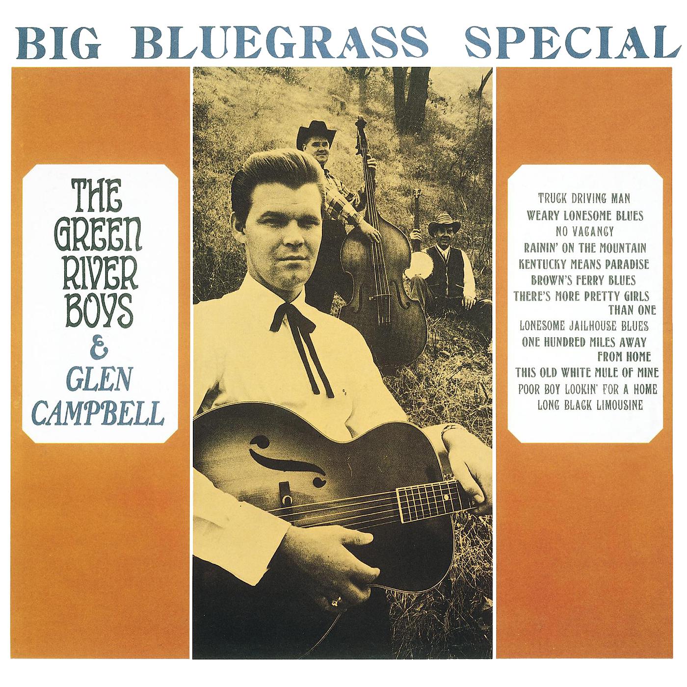 Постер альбома Big Bluegrass Special