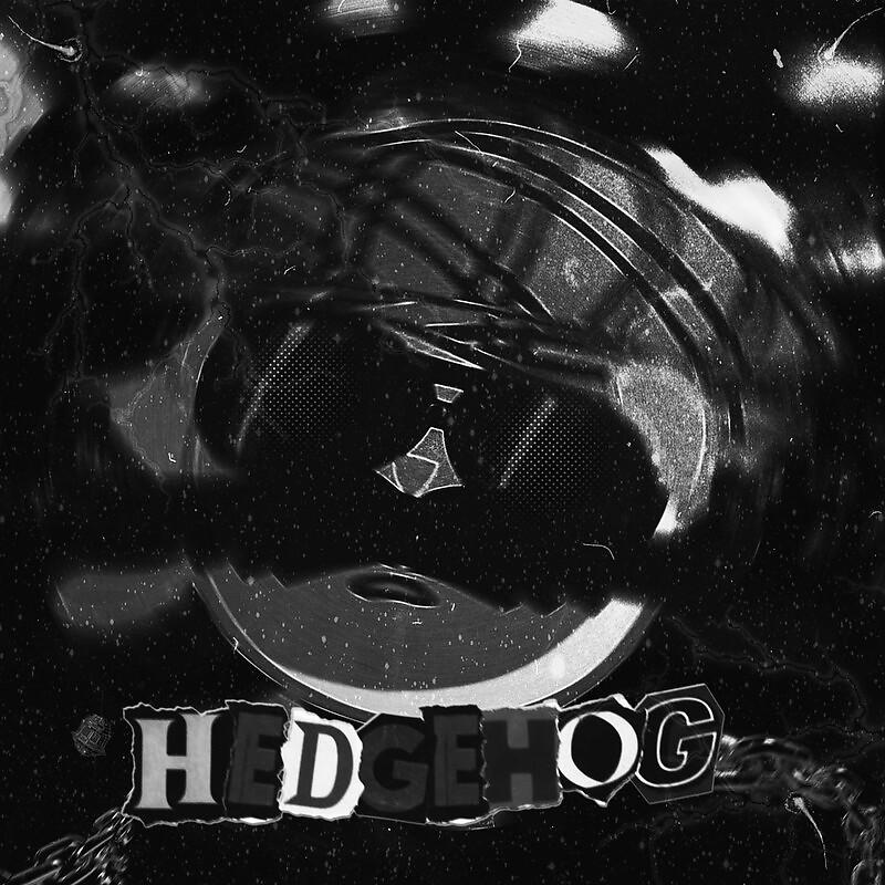 Постер альбома HEDGEHOG