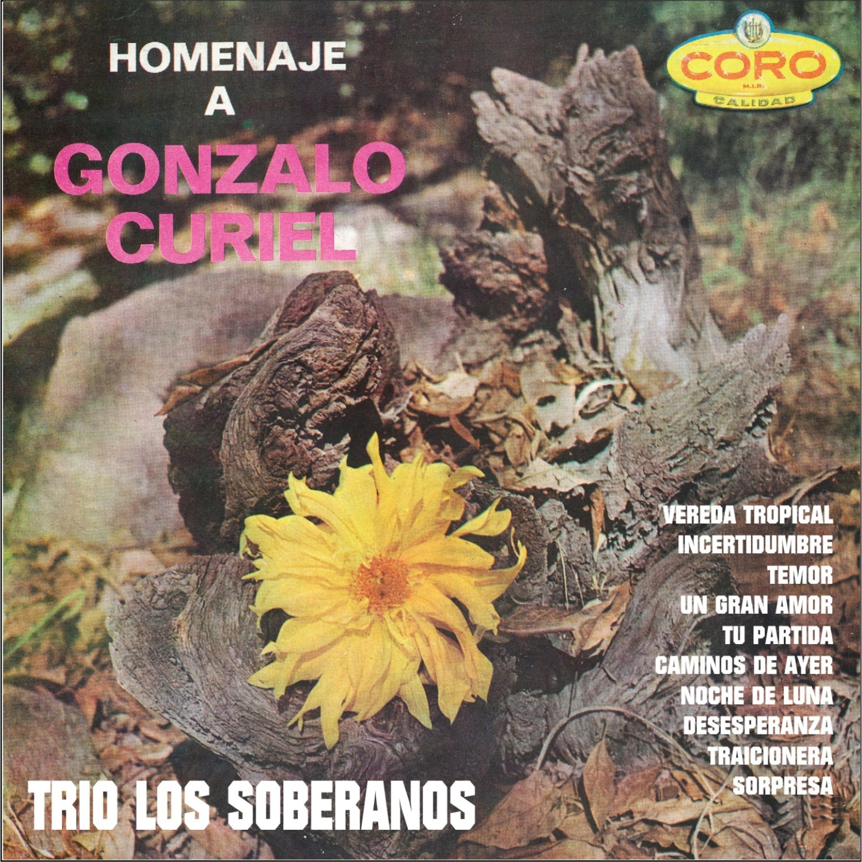 Постер альбома Homenaje a Gonzalo Curiel