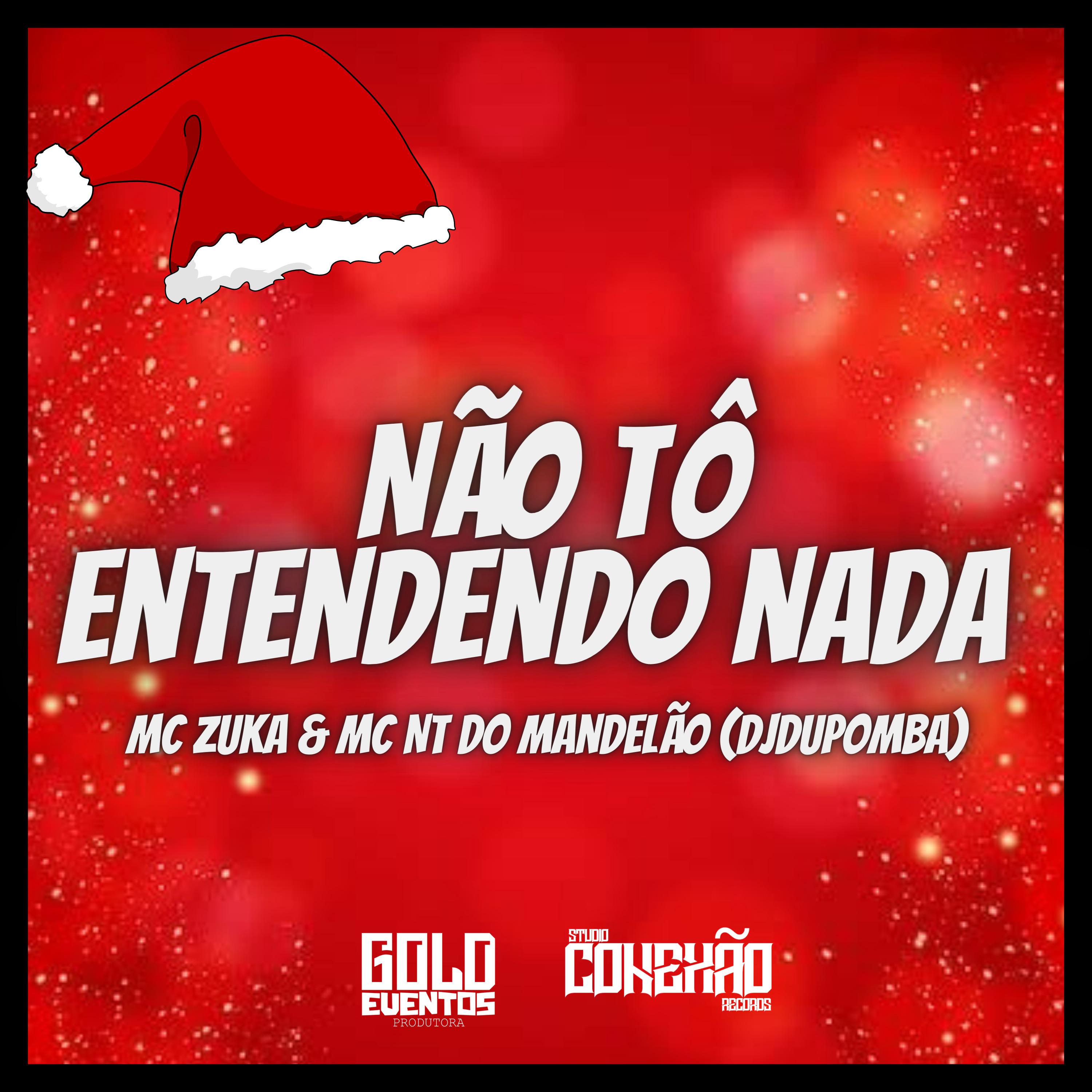 Постер альбома Não Tô Entendendo Nada