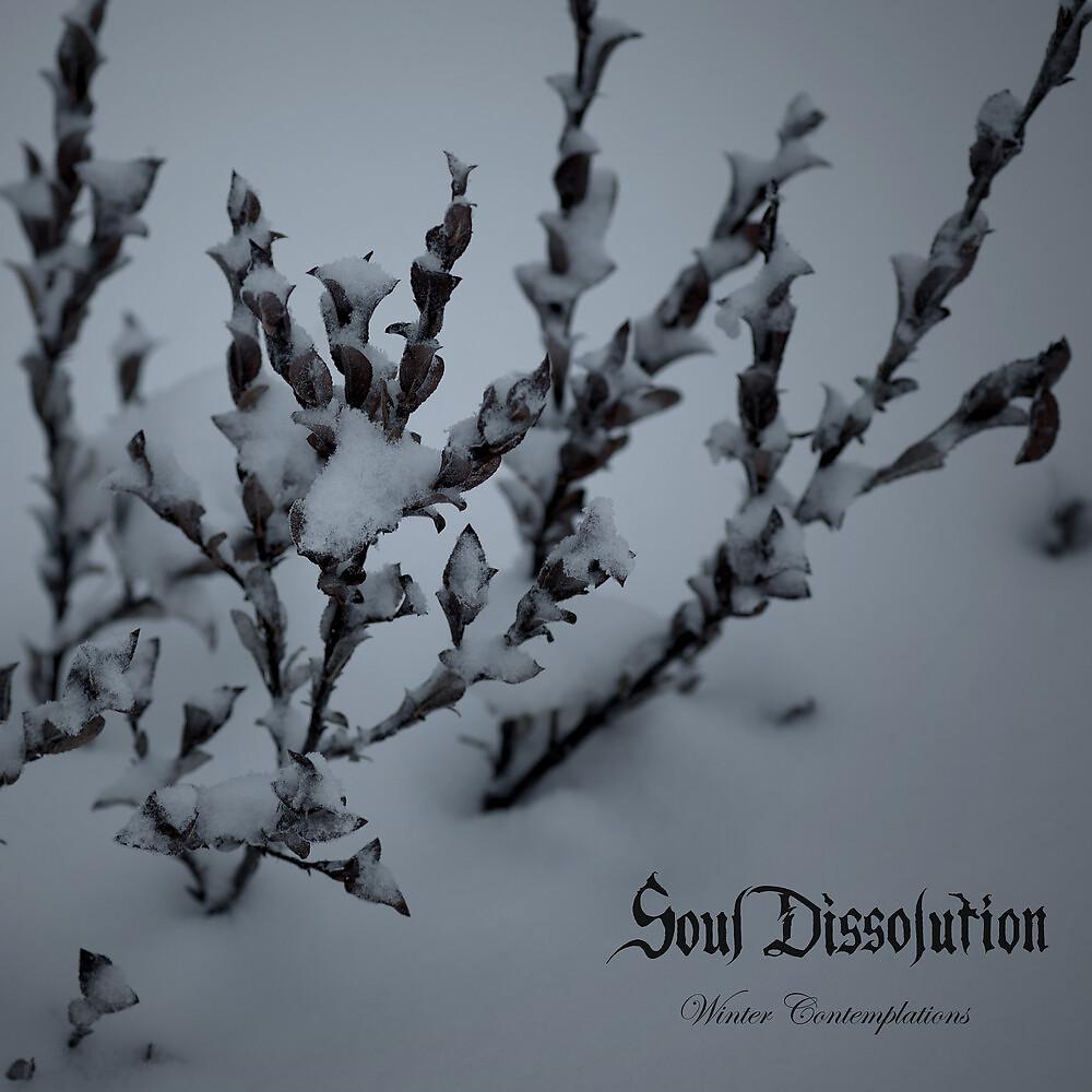 Постер альбома Winter Contemplations