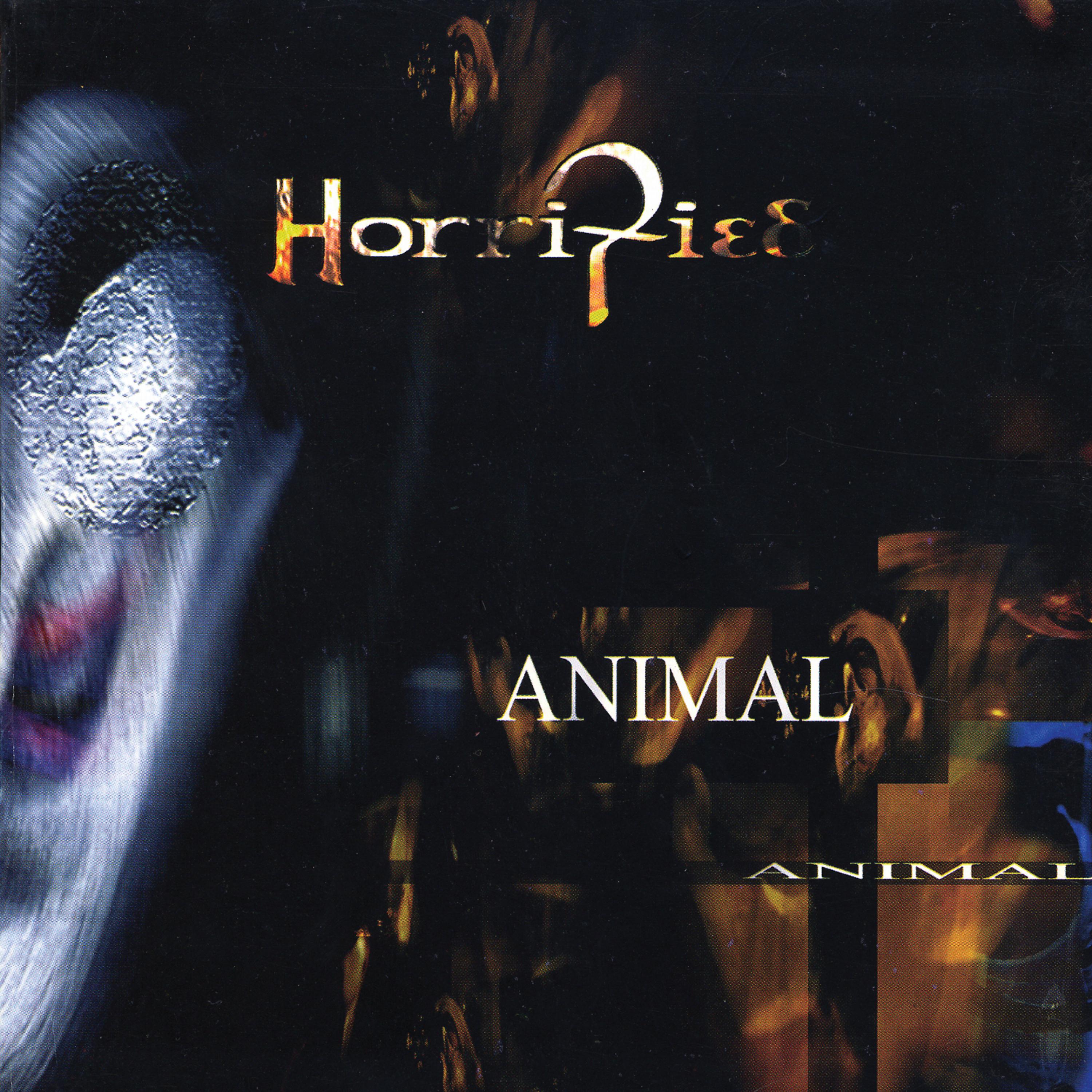 Постер альбома Animal