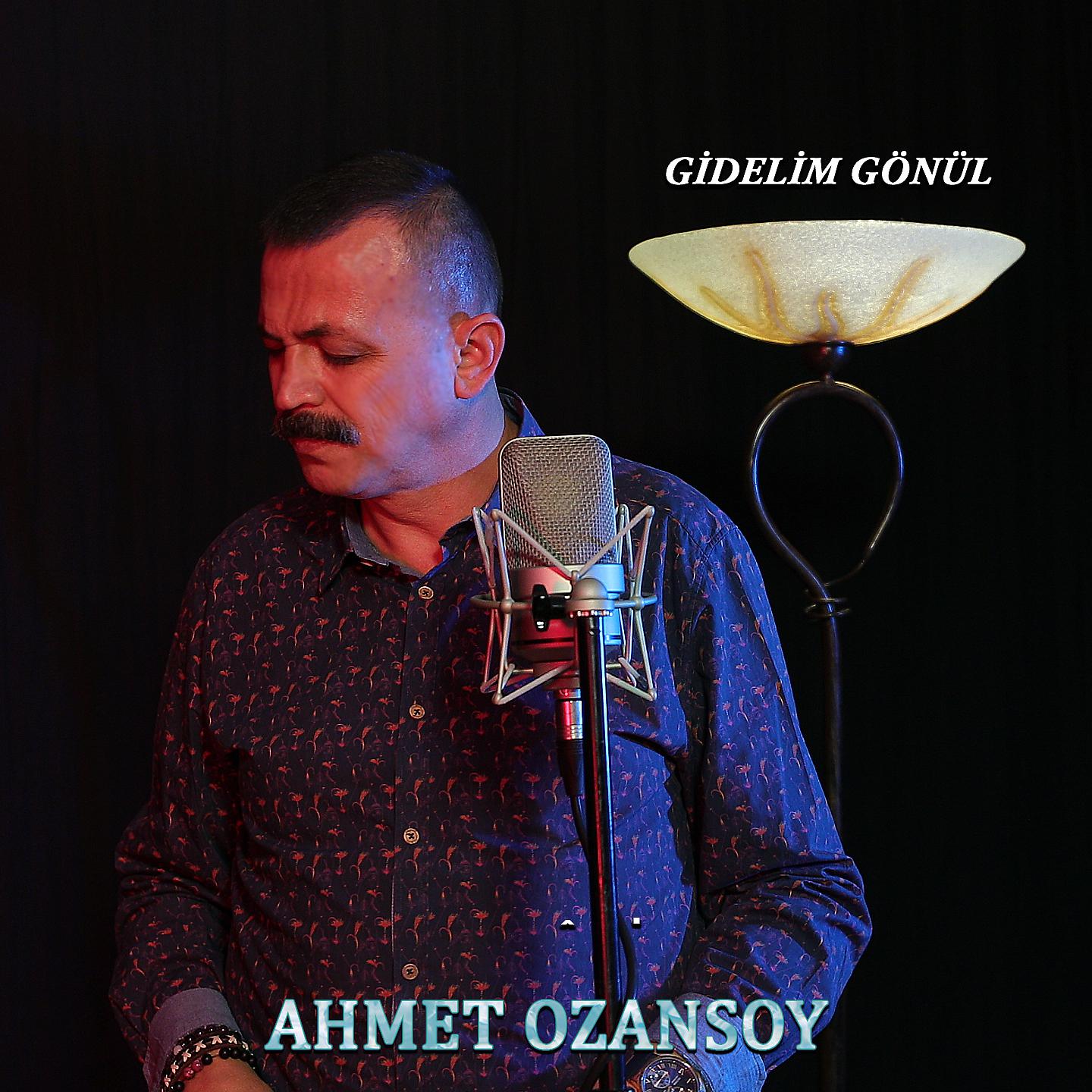 Постер альбома Gidelim Gönül