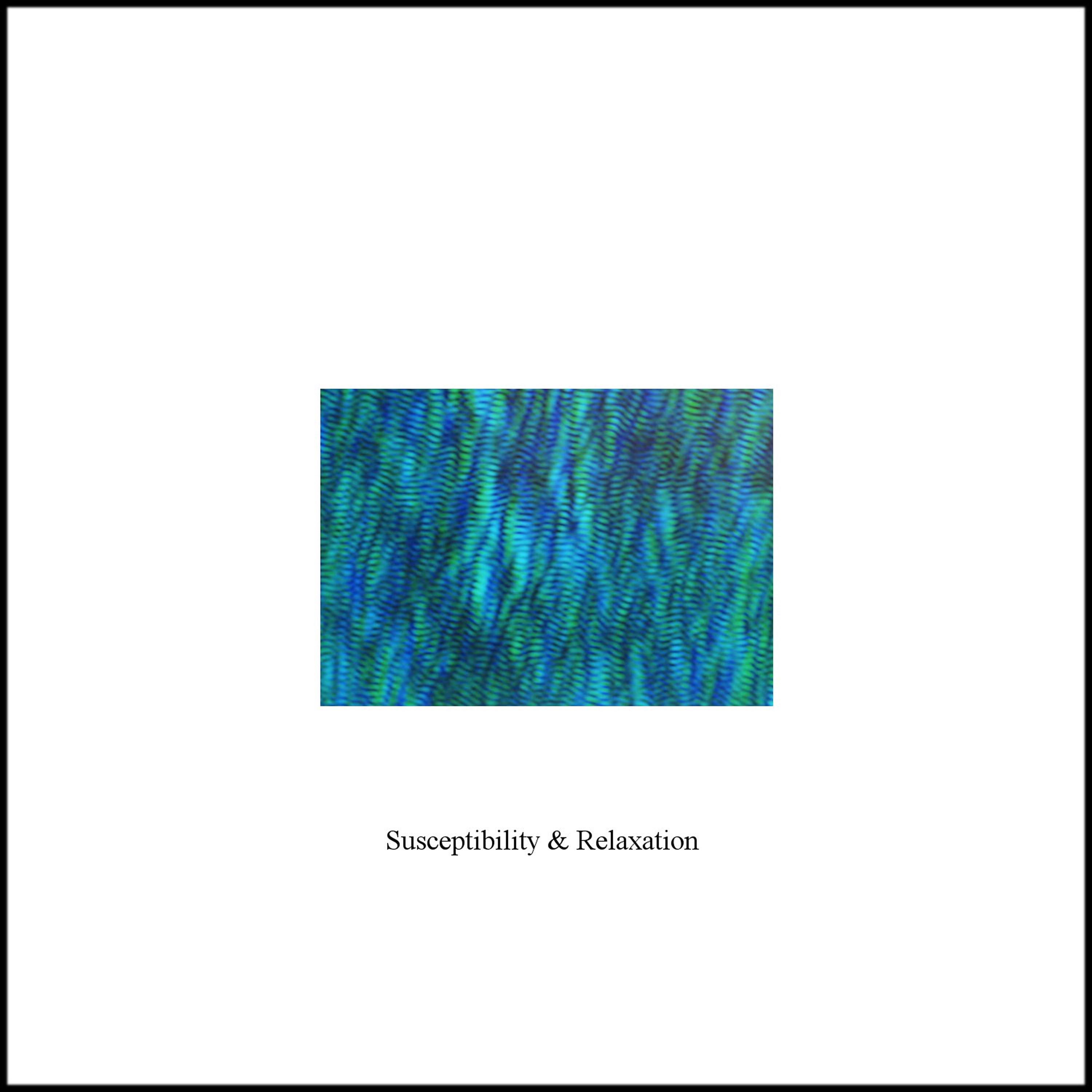 Постер альбома Susceptibility and Relaxation - Single