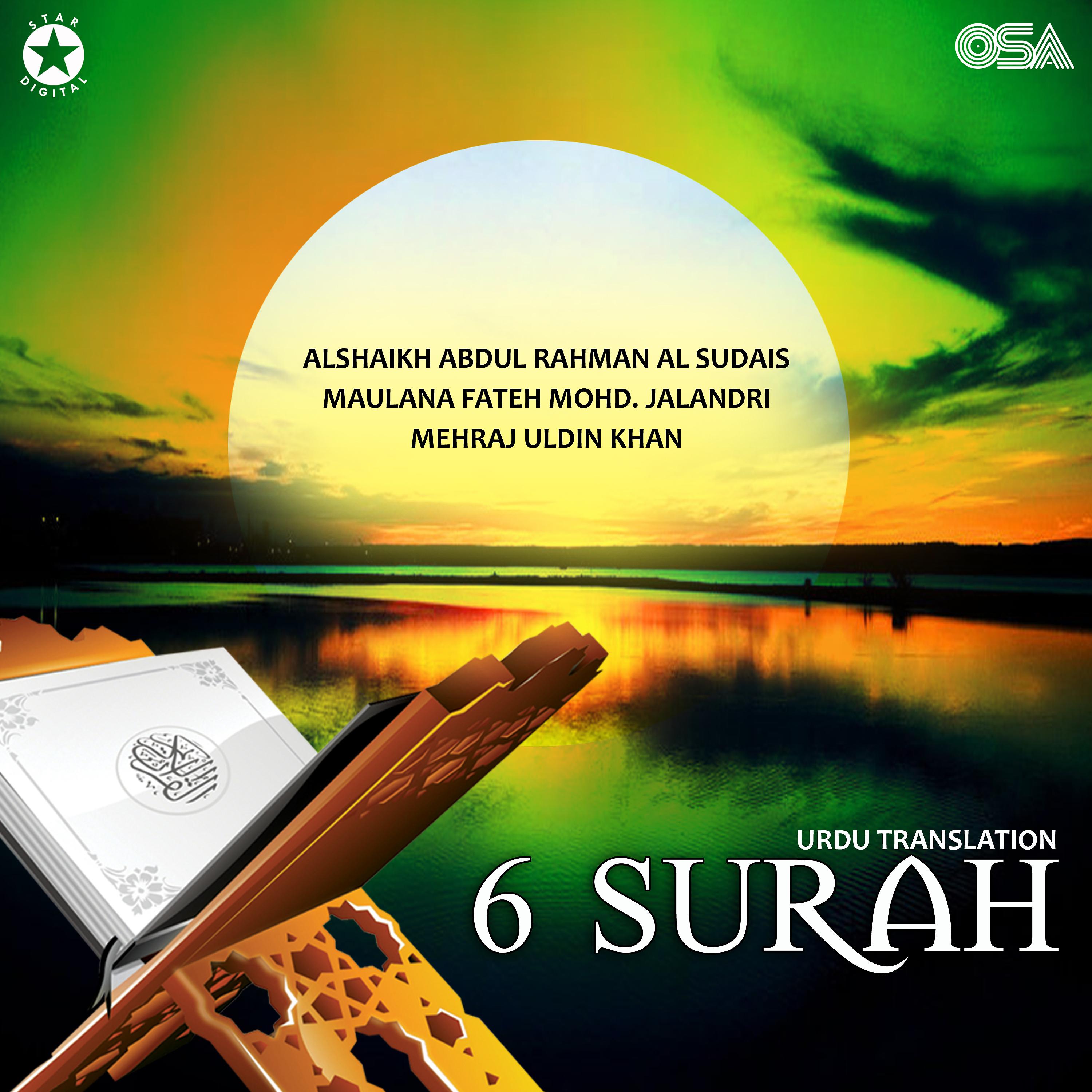 Постер альбома 6 Surah
