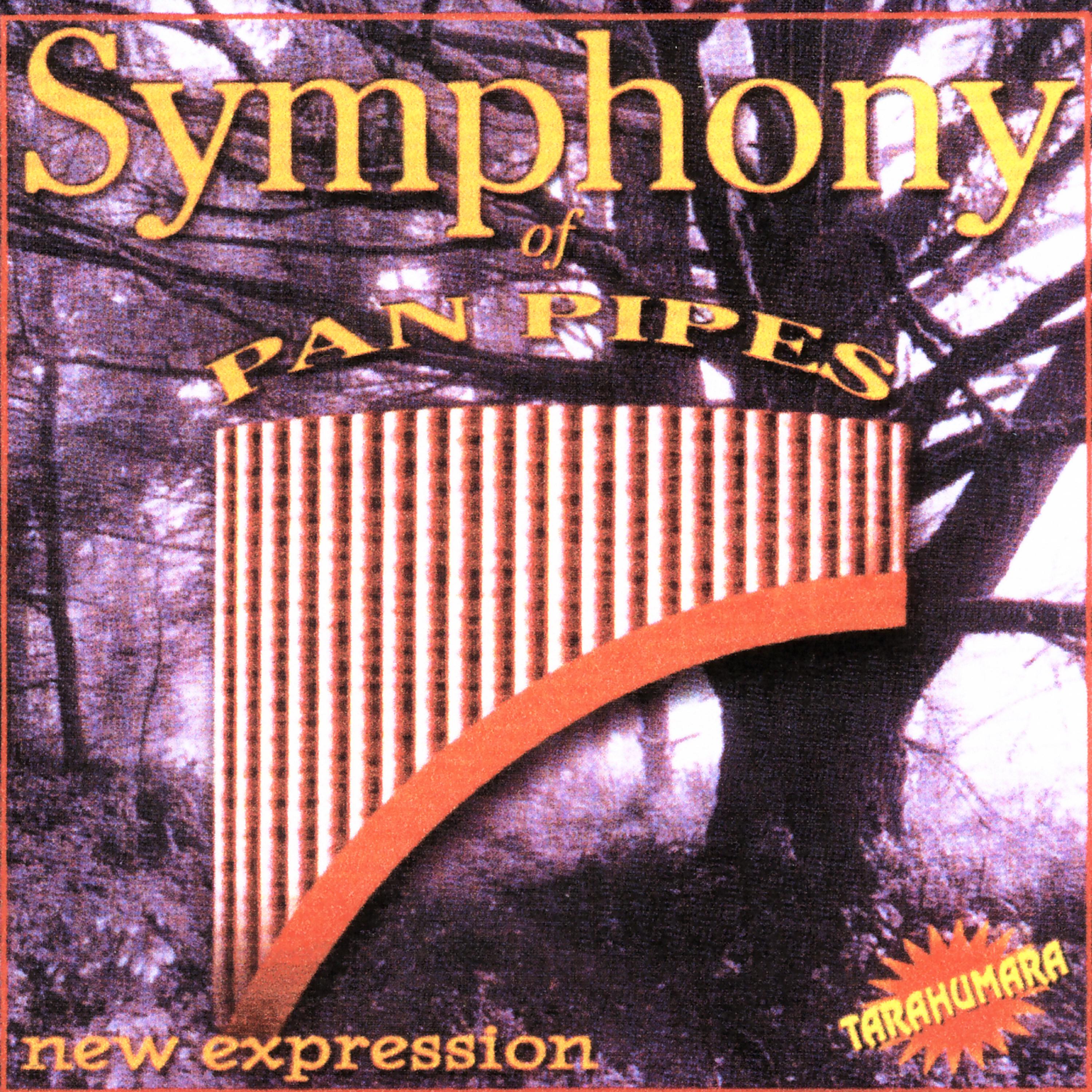 Постер альбома Symphony Of Pan Pipes