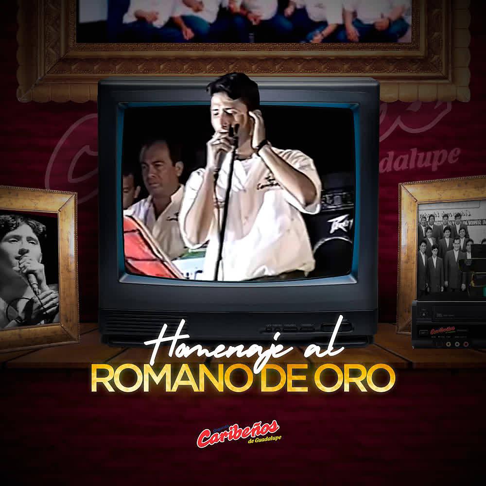 Постер альбома Homenaje al Romano de Oro