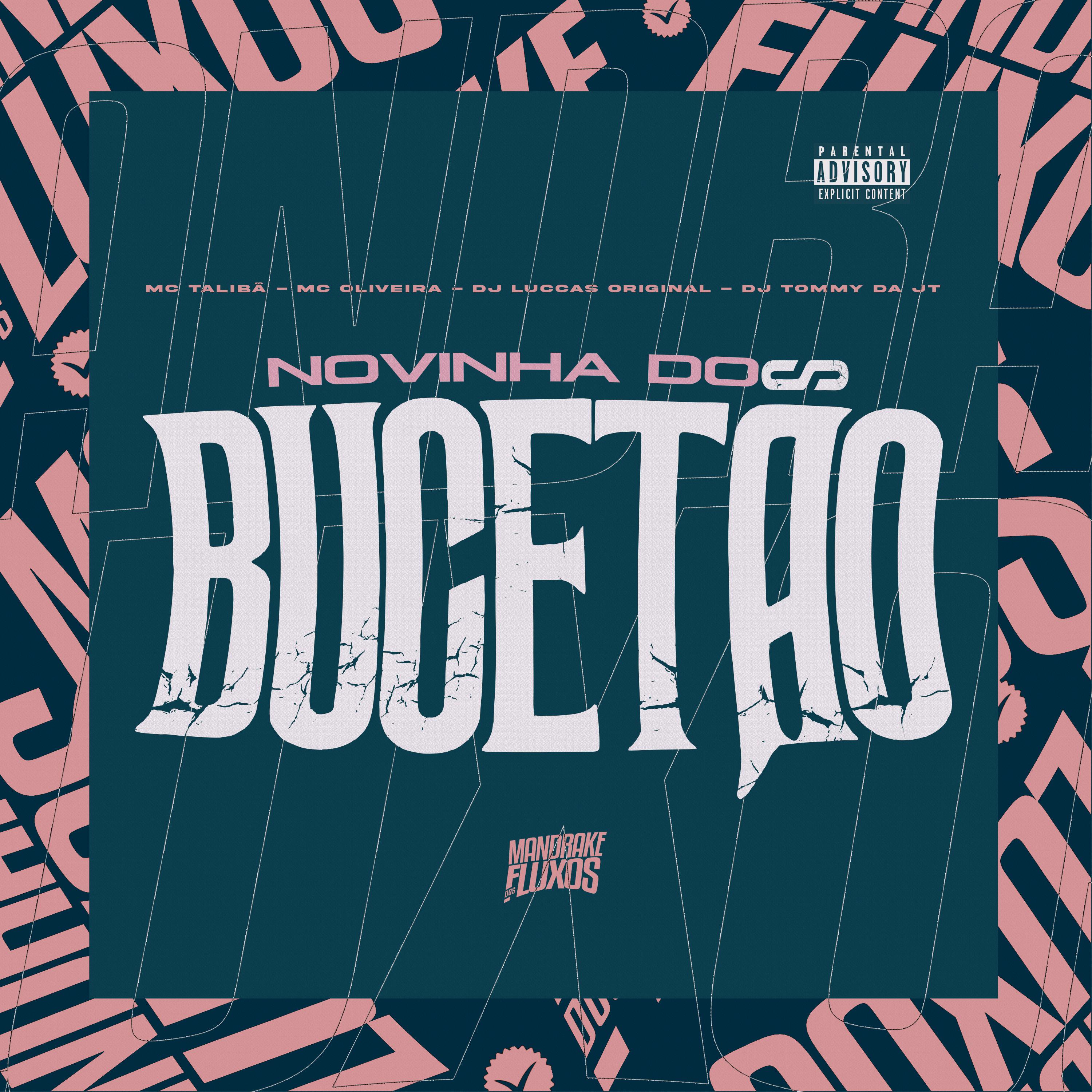 Постер альбома Novinha Do Bucetão