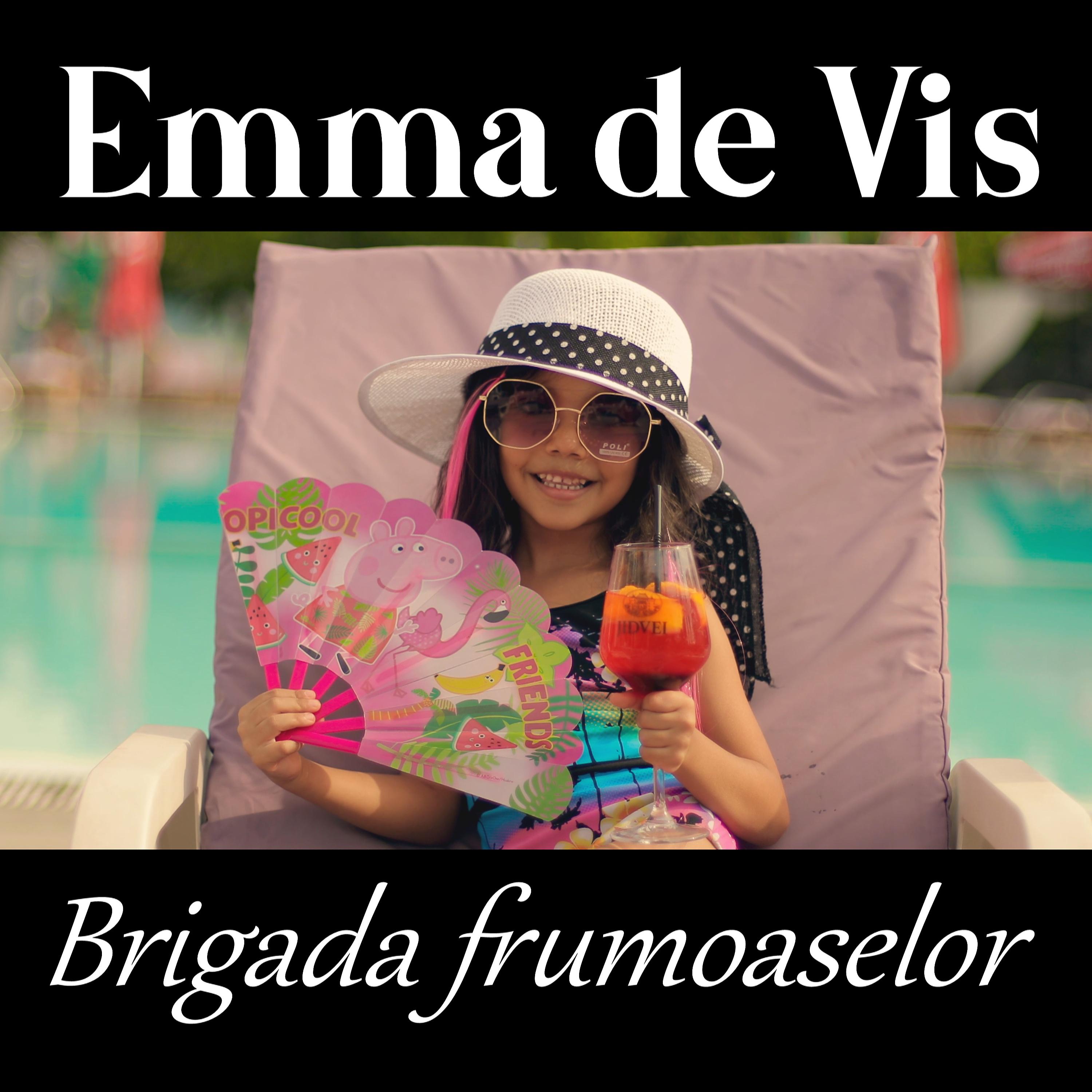 Постер альбома Brigada frumoaselor