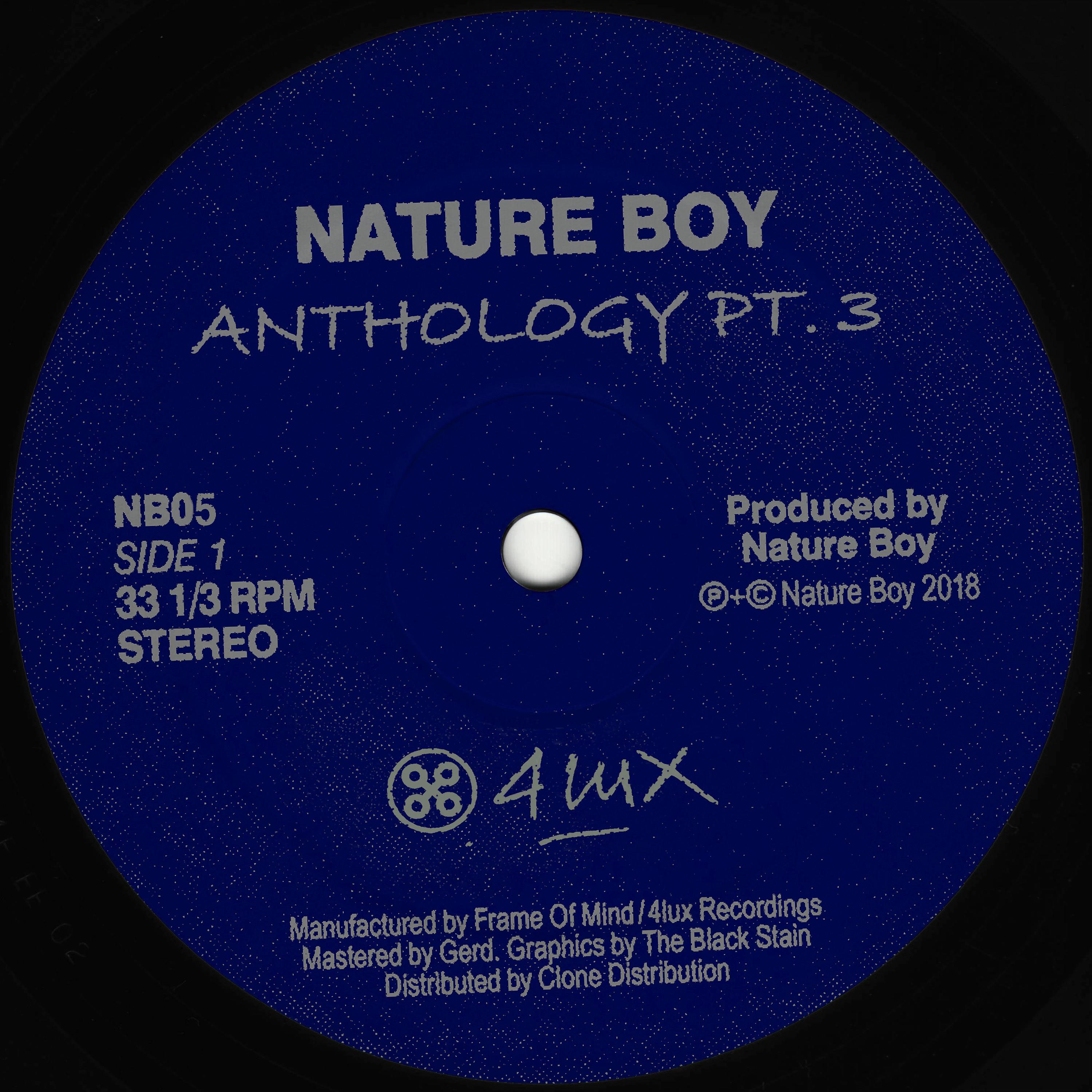 Постер альбома Nature Boy Anthology Pt. 3