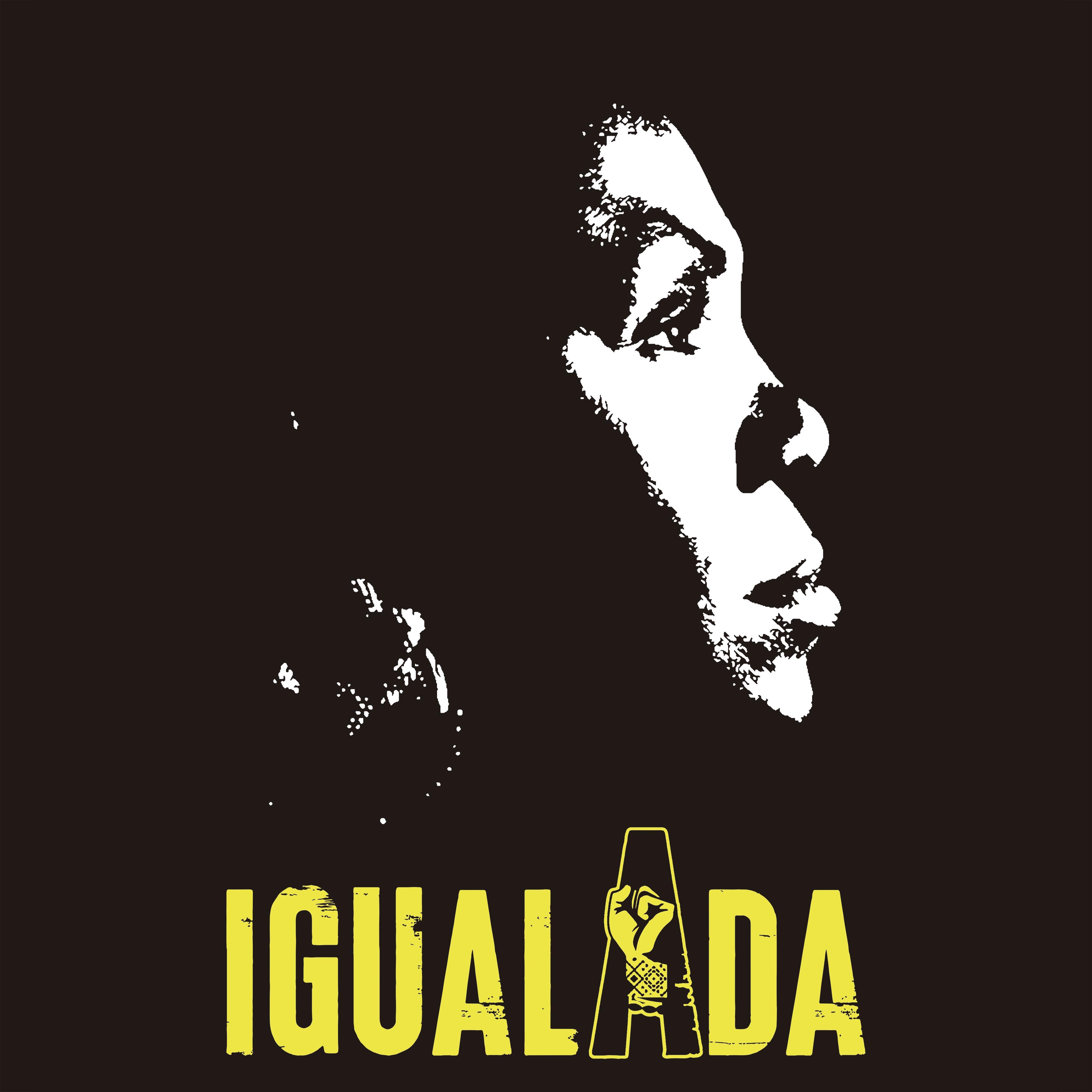 Постер альбома Igualada