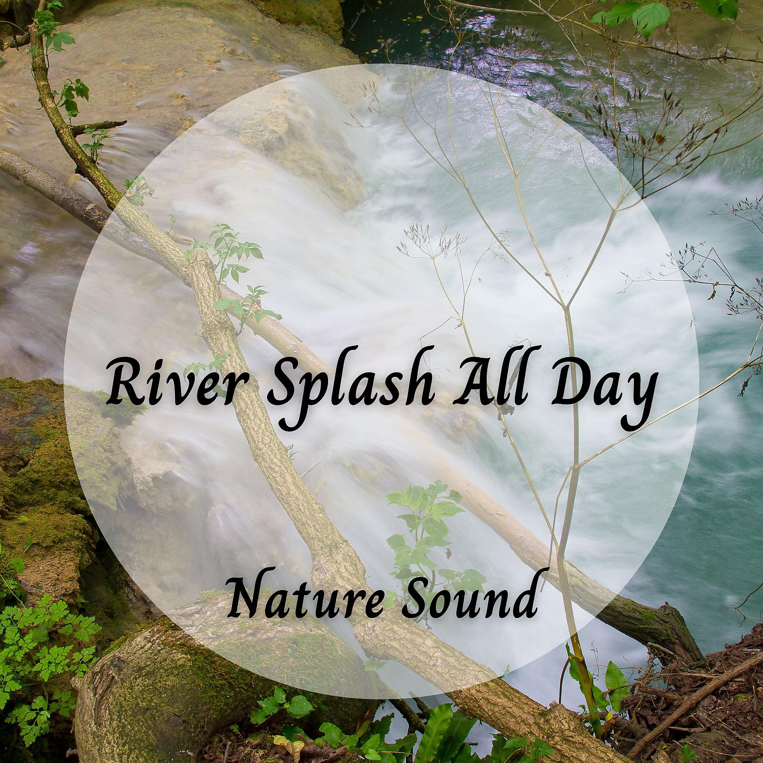 Постер альбома Nature Sound: River Splash All Day