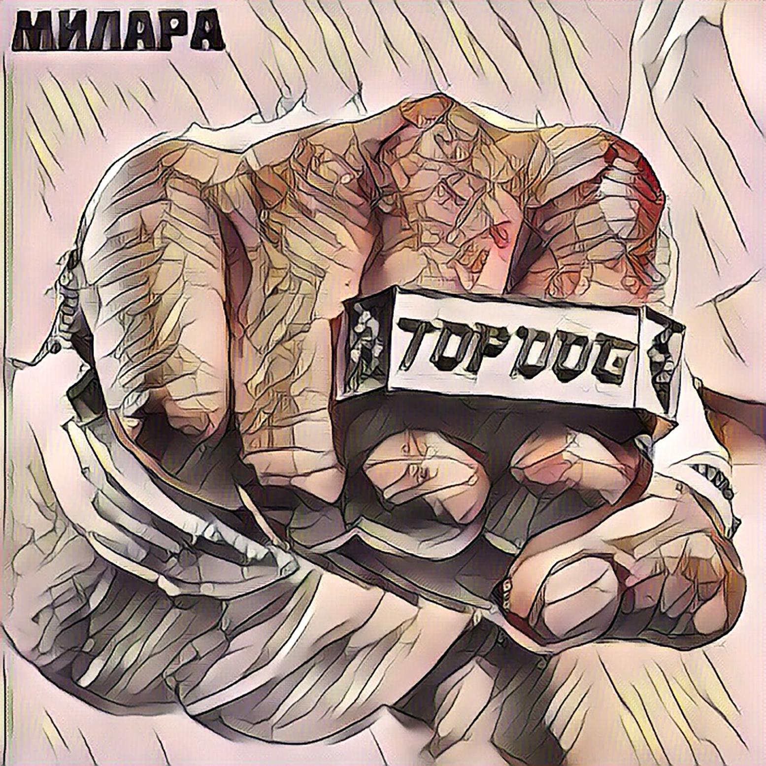 Постер альбома TOP DOG