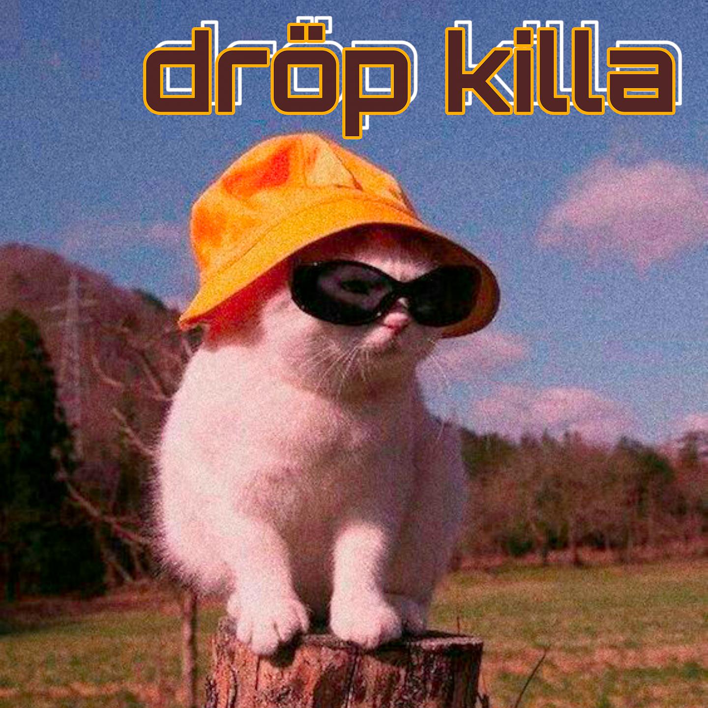 Постер альбома Dröp Killa