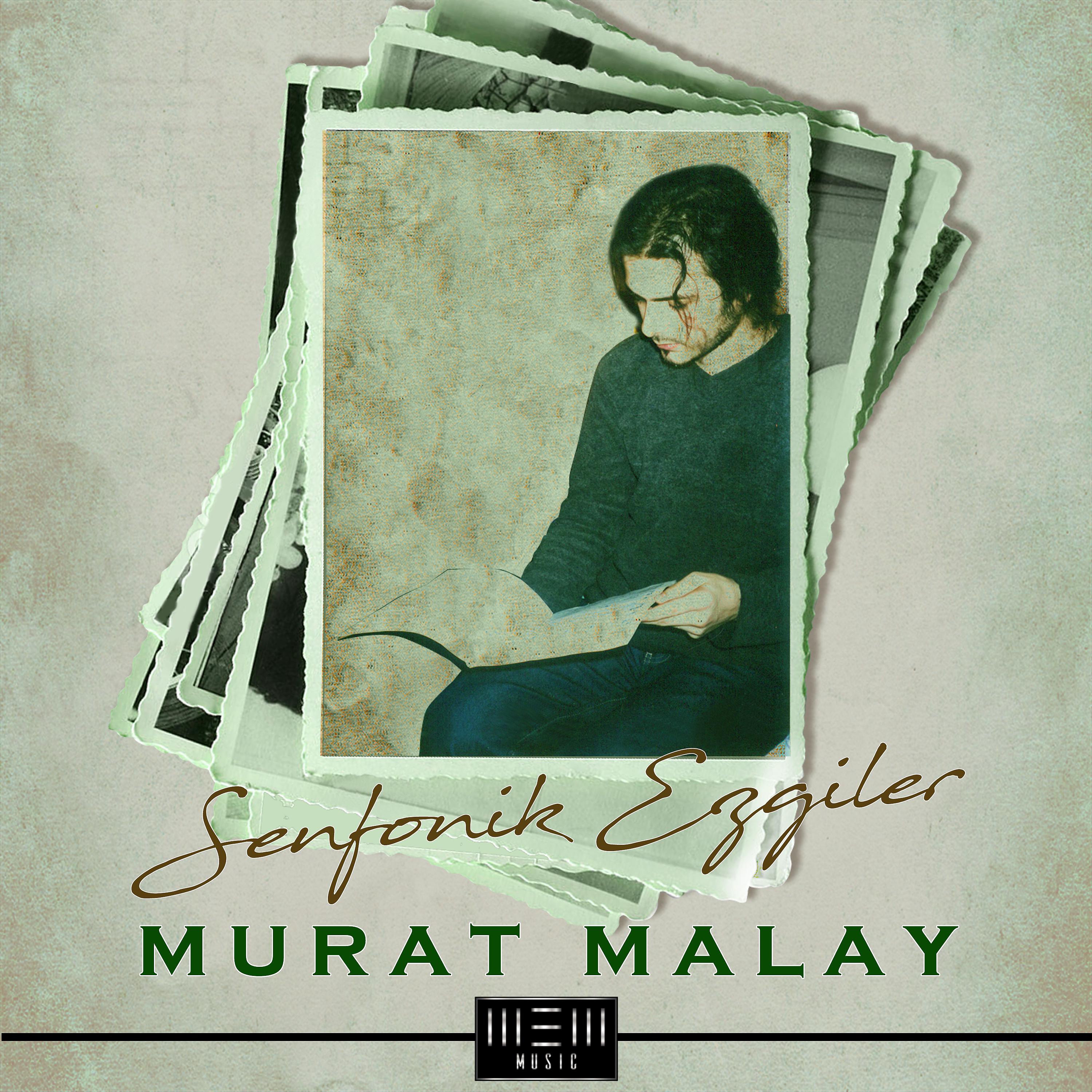 Постер альбома Senfonik Ezgiler