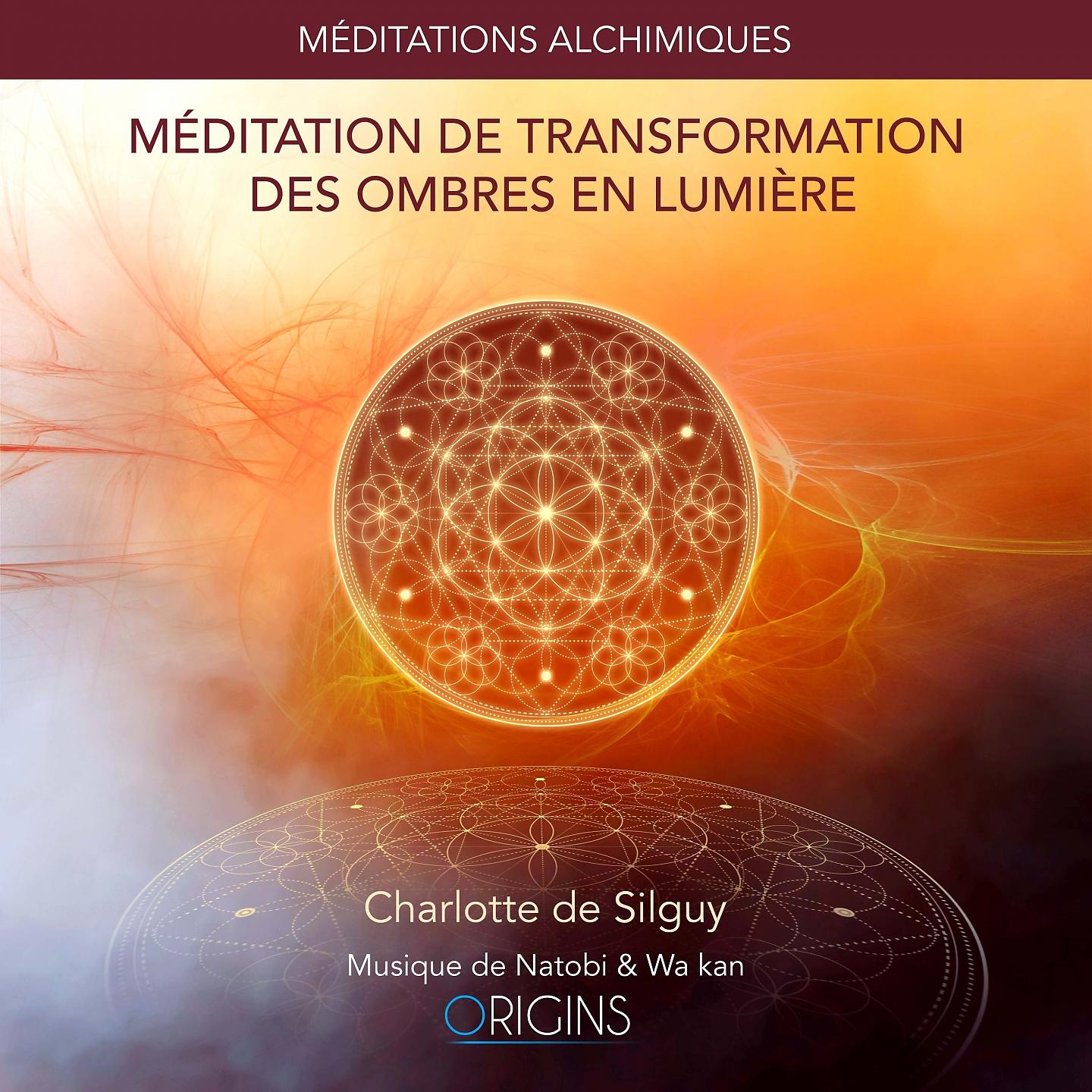 Постер альбома Méditation de transformation des ombres en lumière