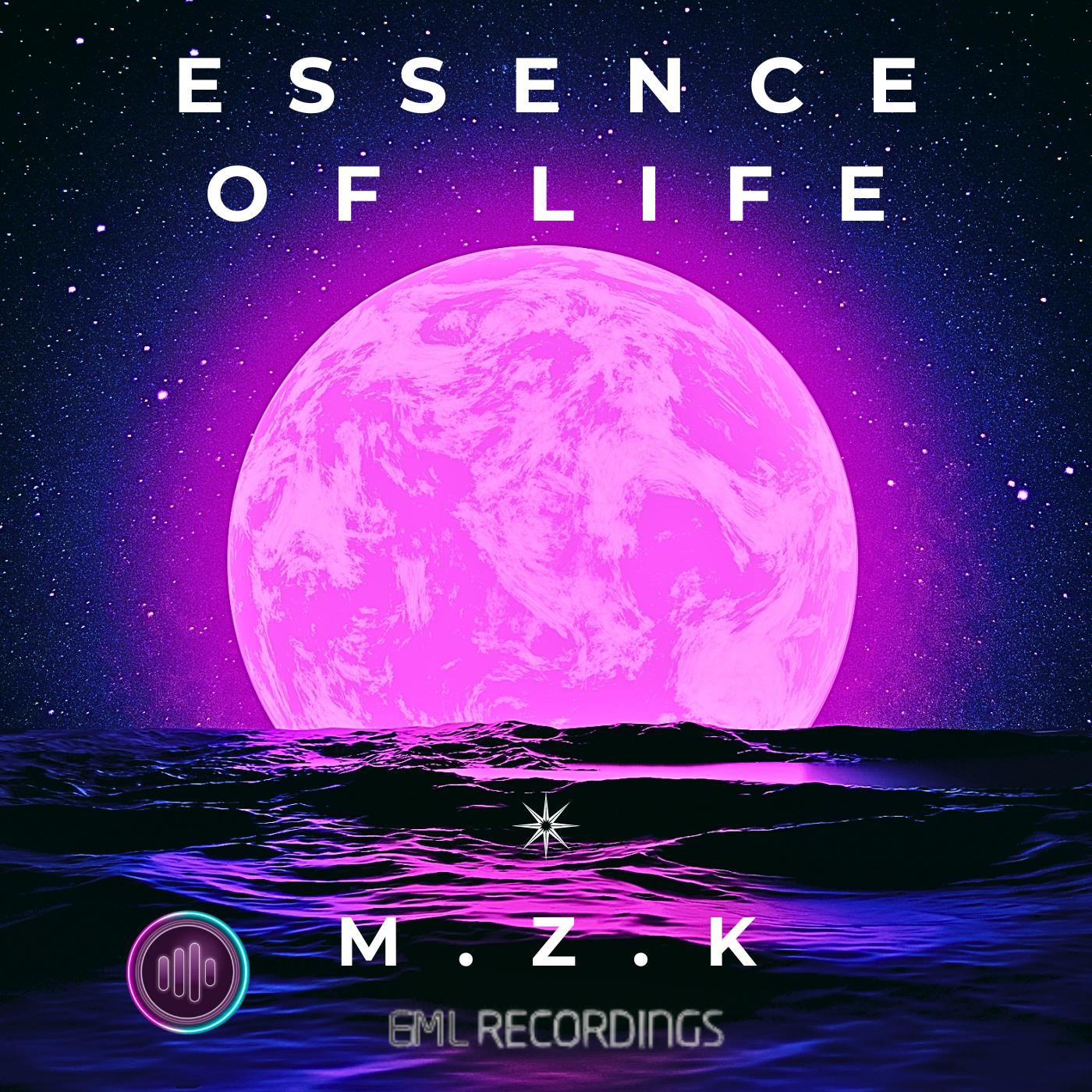 Постер альбома Essence of Life 2024