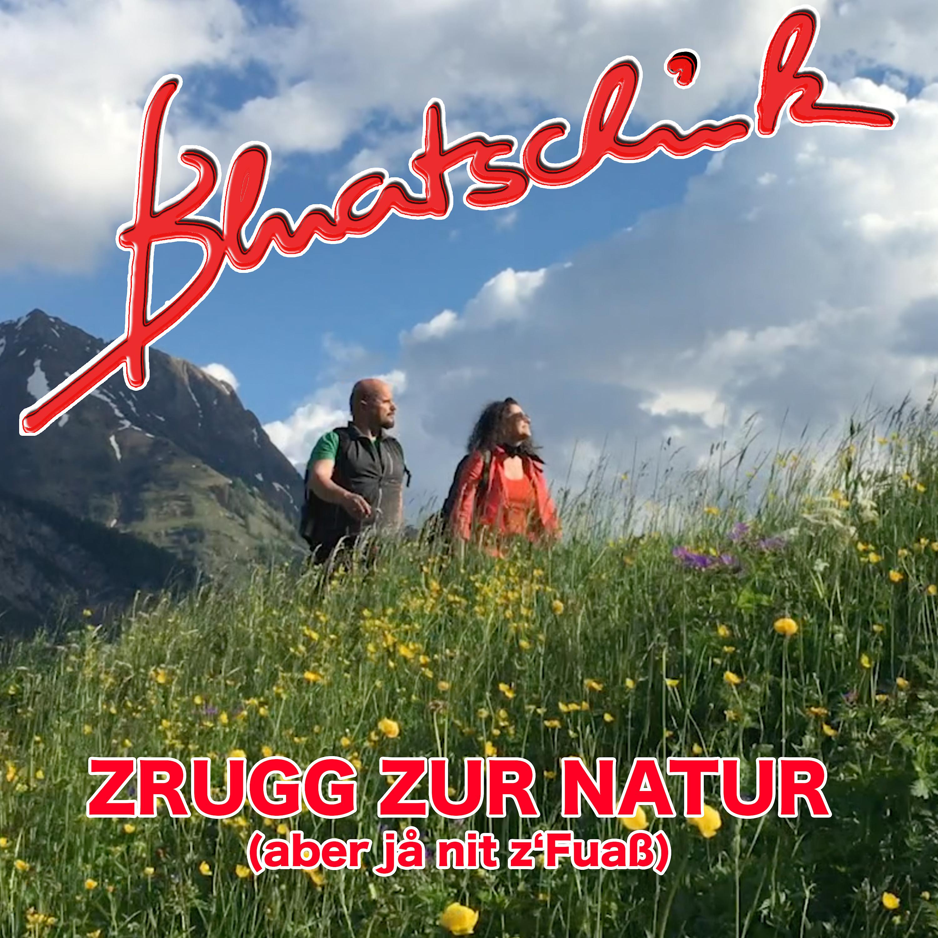 Постер альбома Zrugg zur Natur