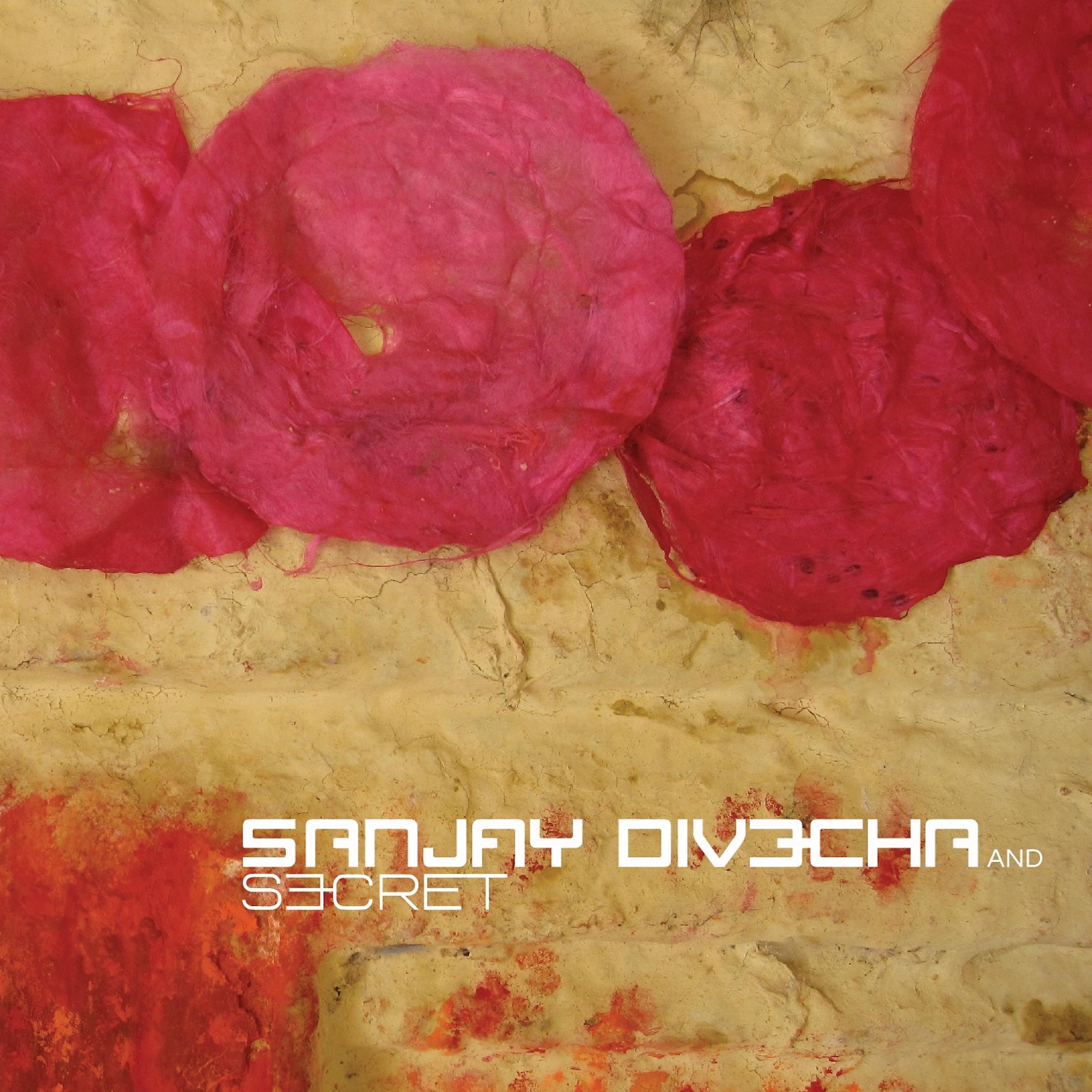 Постер альбома Sanjay Divecha and Secret