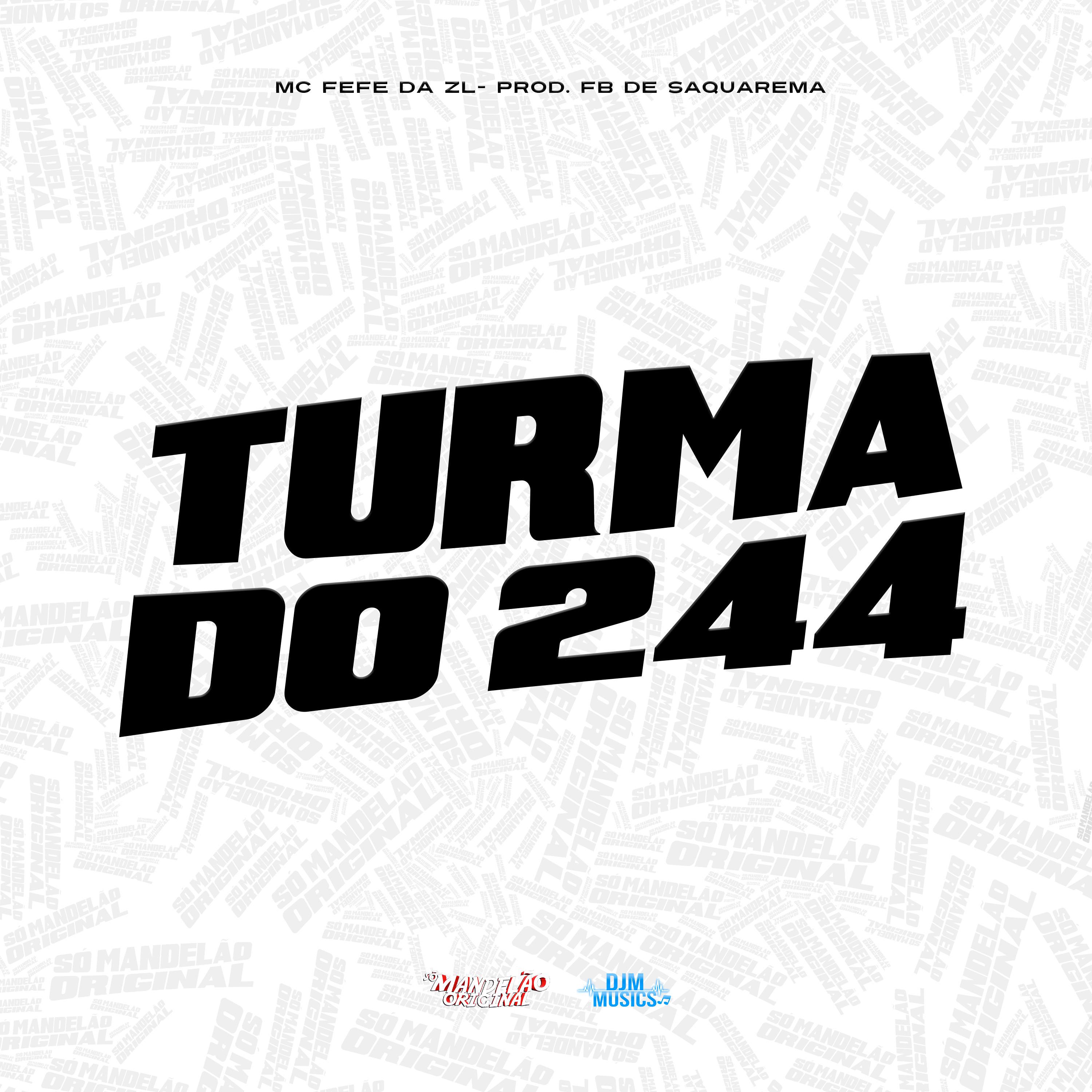Постер альбома Turma do 244